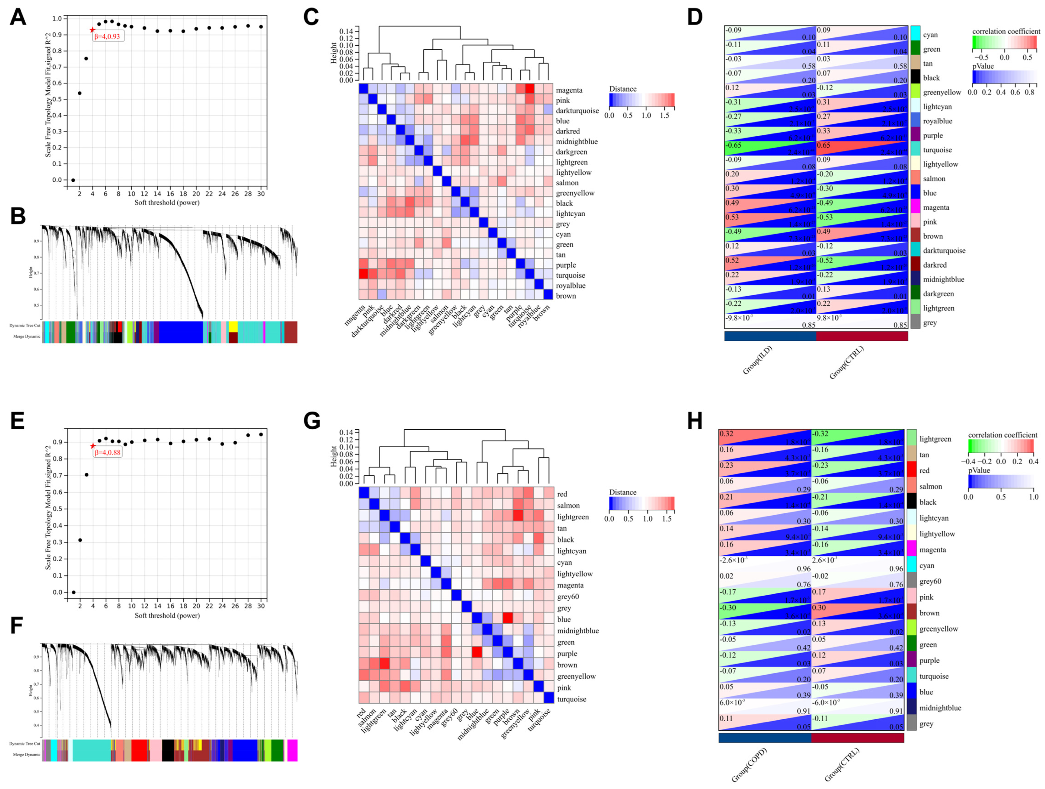 Biomedicines 13 00331 g003