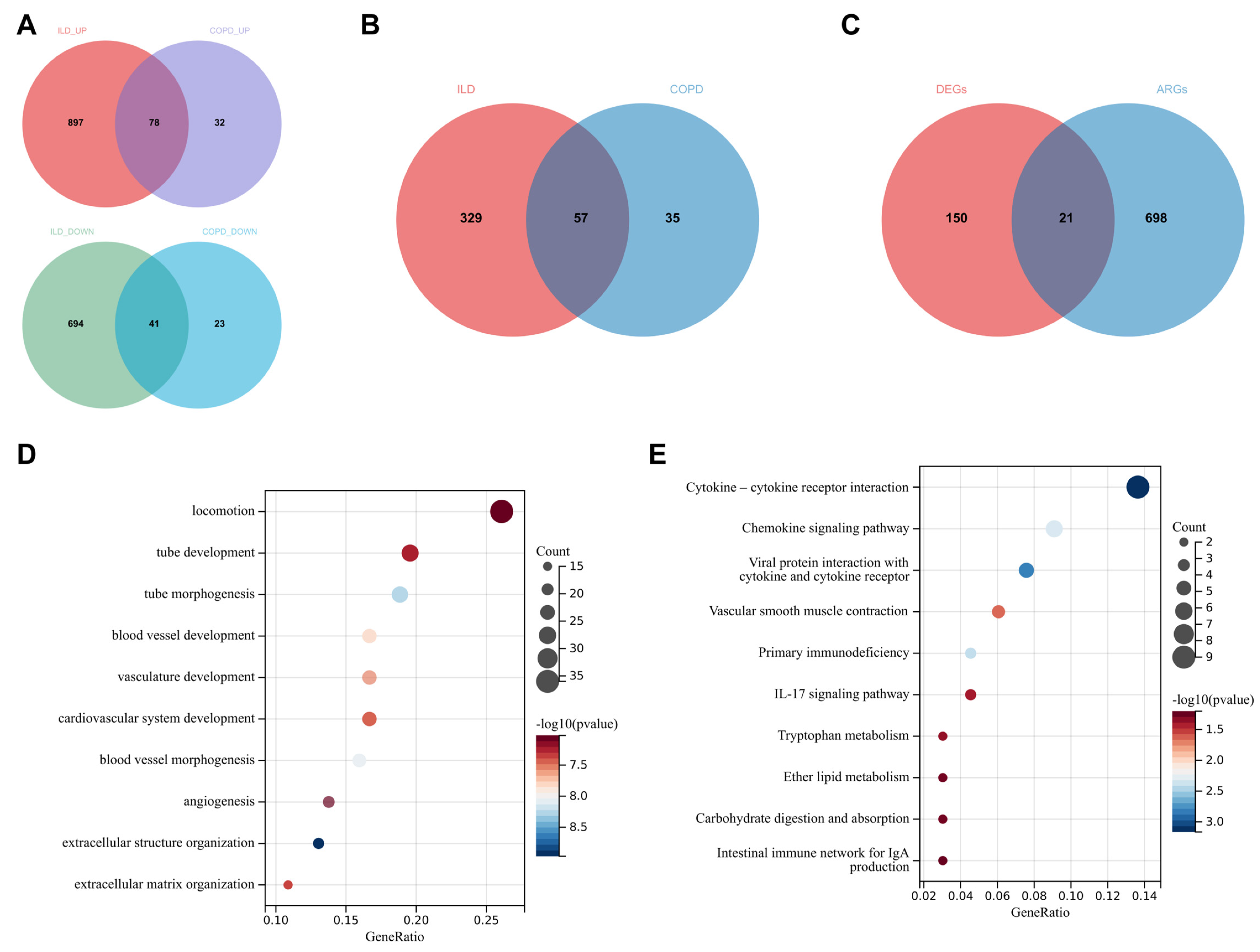 Biomedicines 13 00331 g004