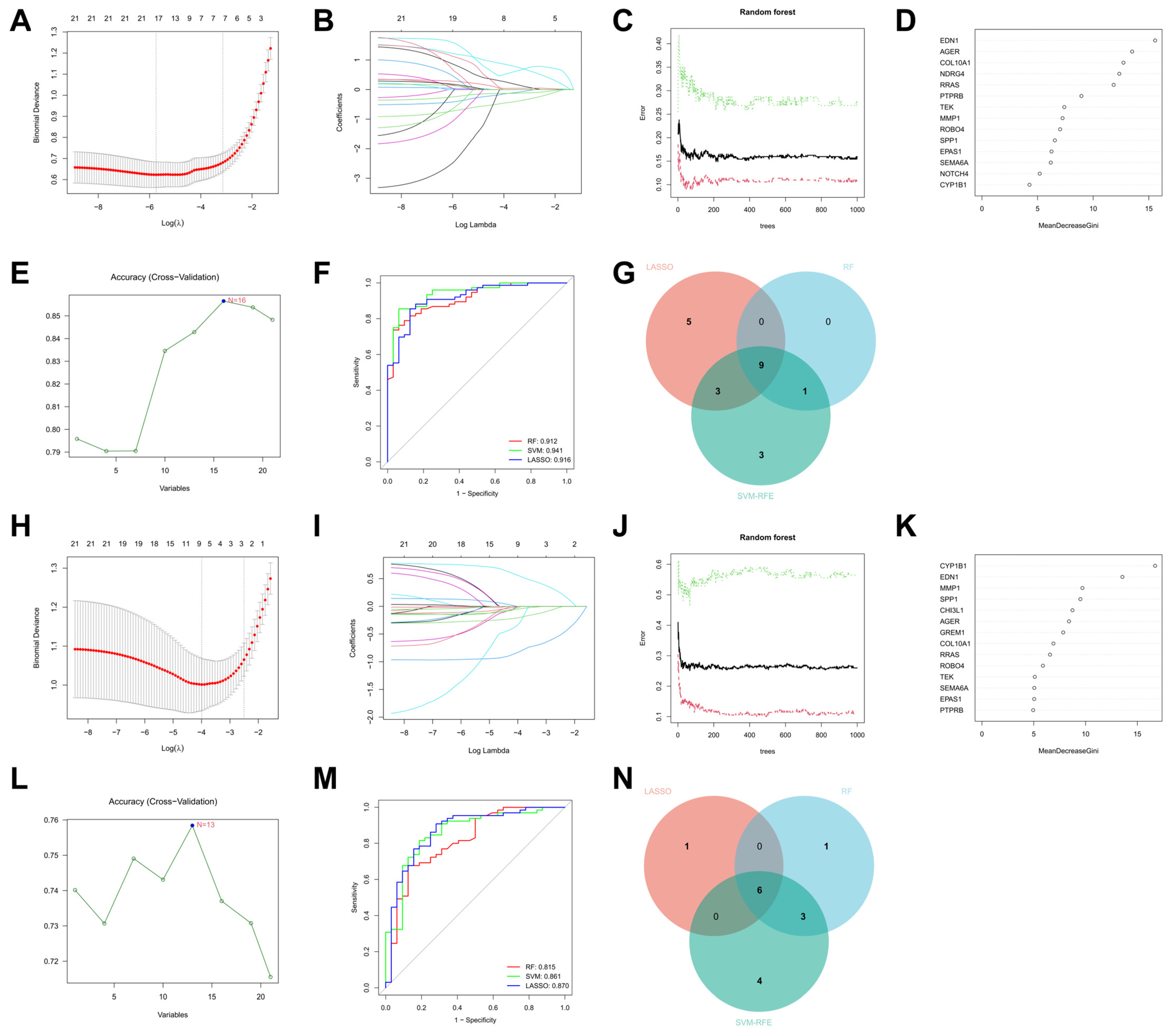 Biomedicines 13 00331 g005