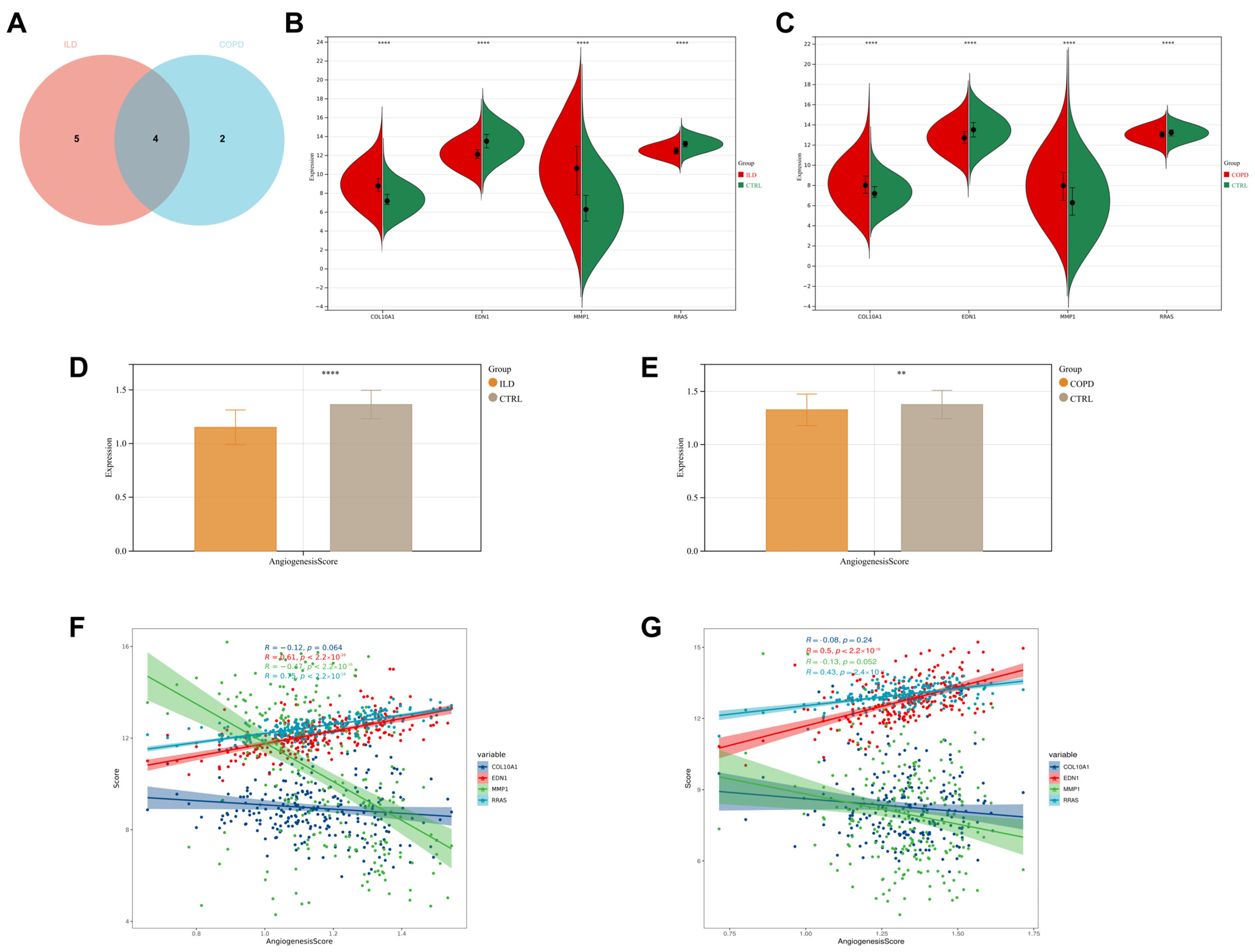 Biomedicines 13 00331 g006