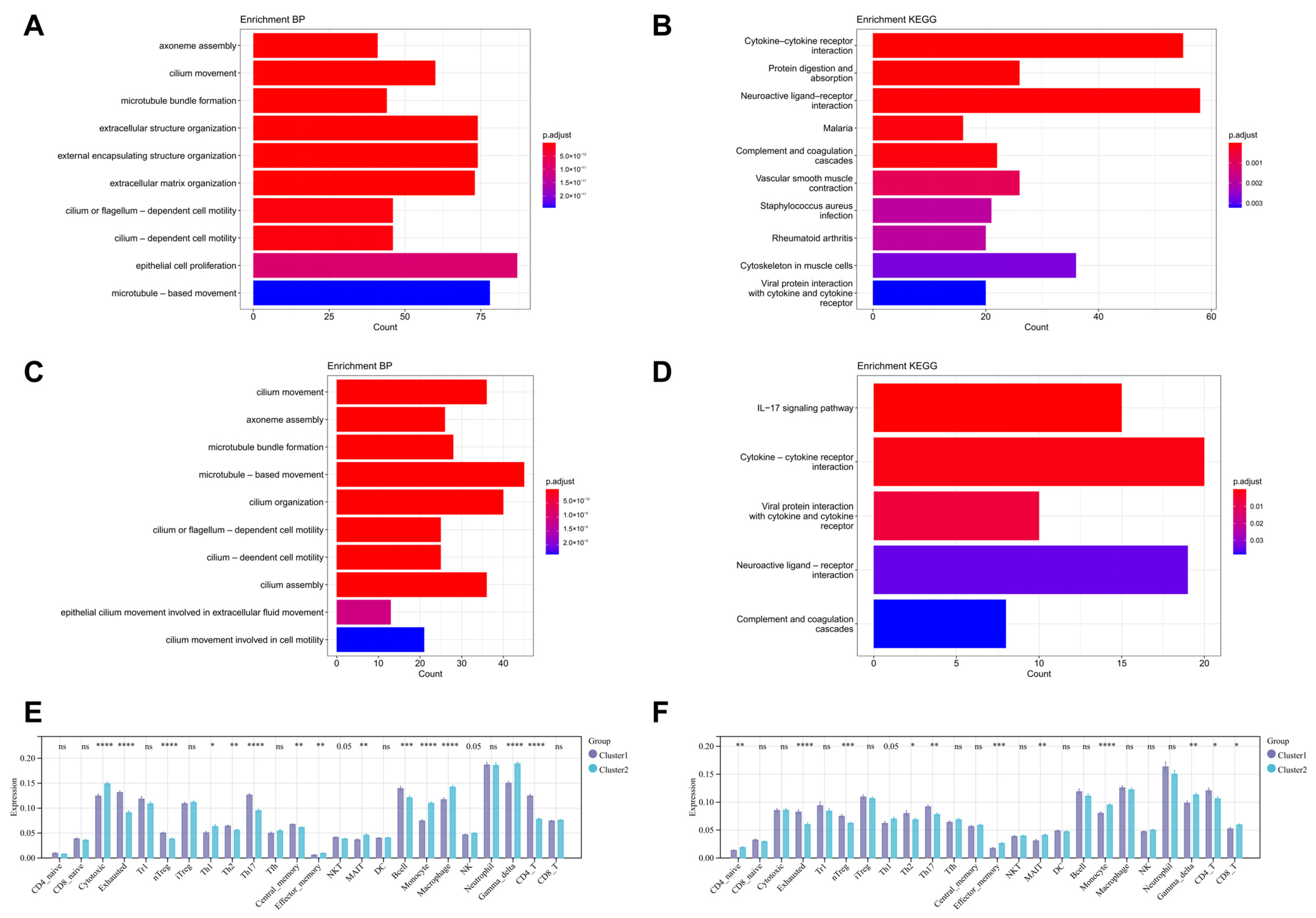 Biomedicines 13 00331 g009