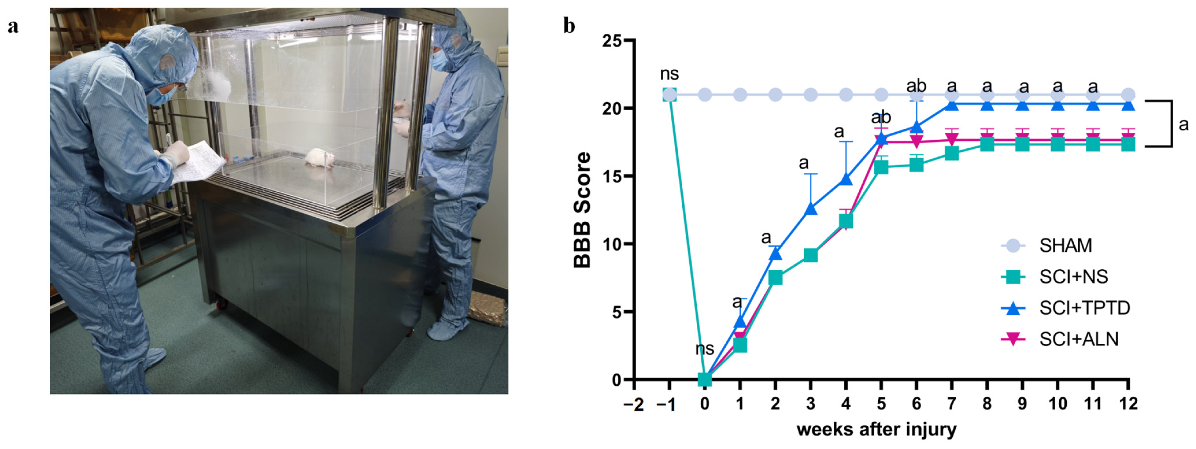 Biomedicines 13 00342 g003