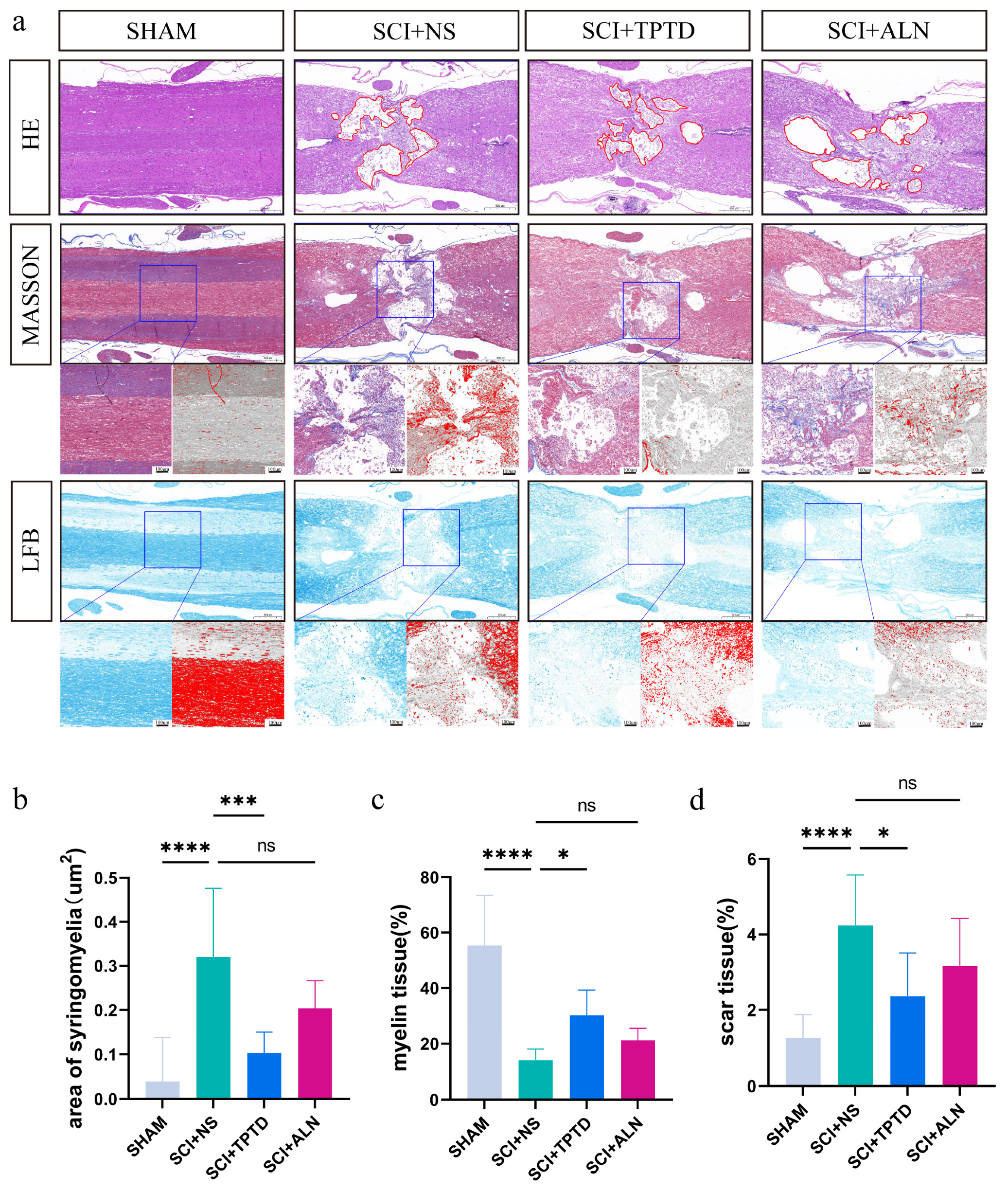 Biomedicines 13 00342 g005