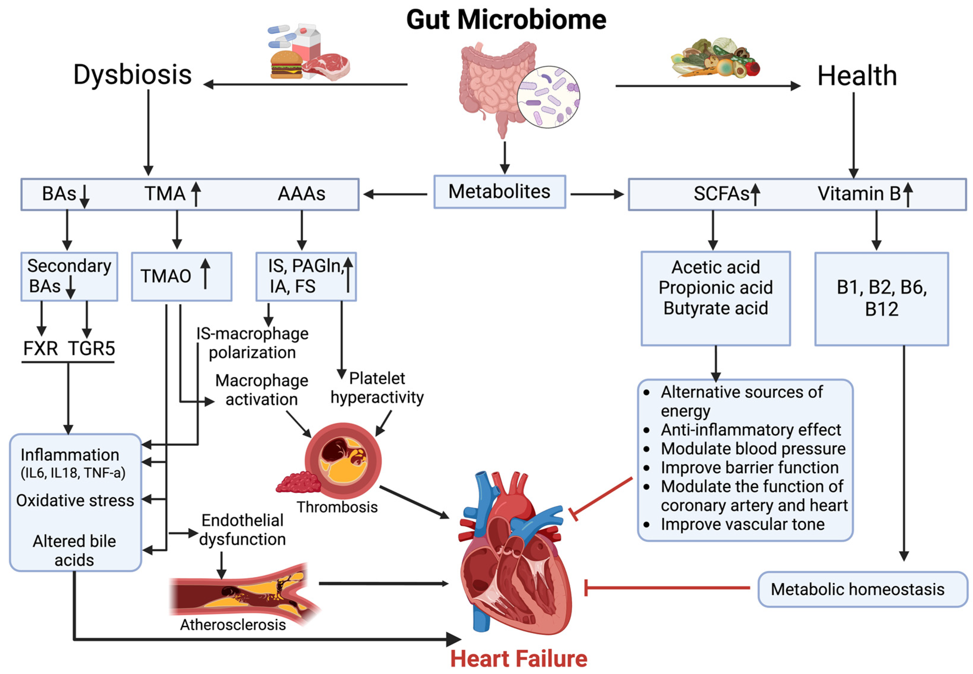 Biomedicines 13 00343 g001