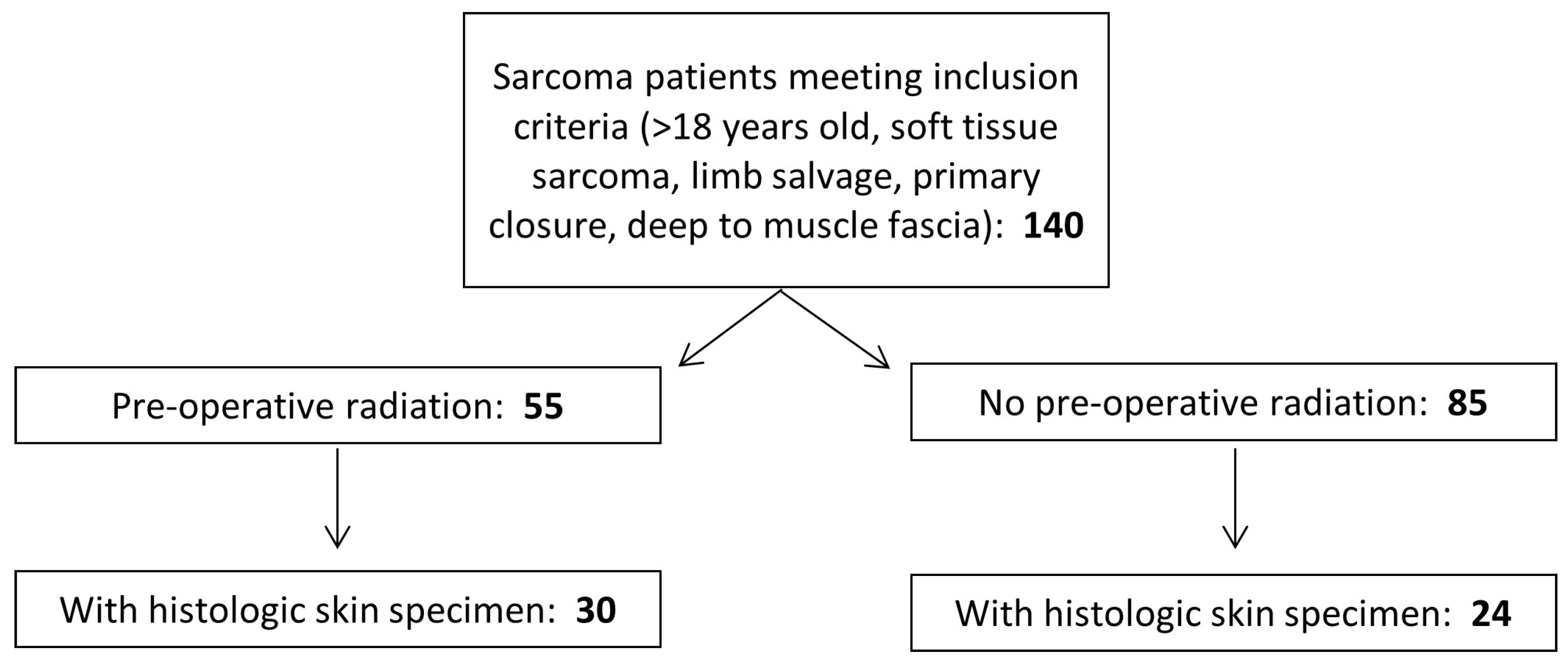 Biomedicines 13 00344 g002