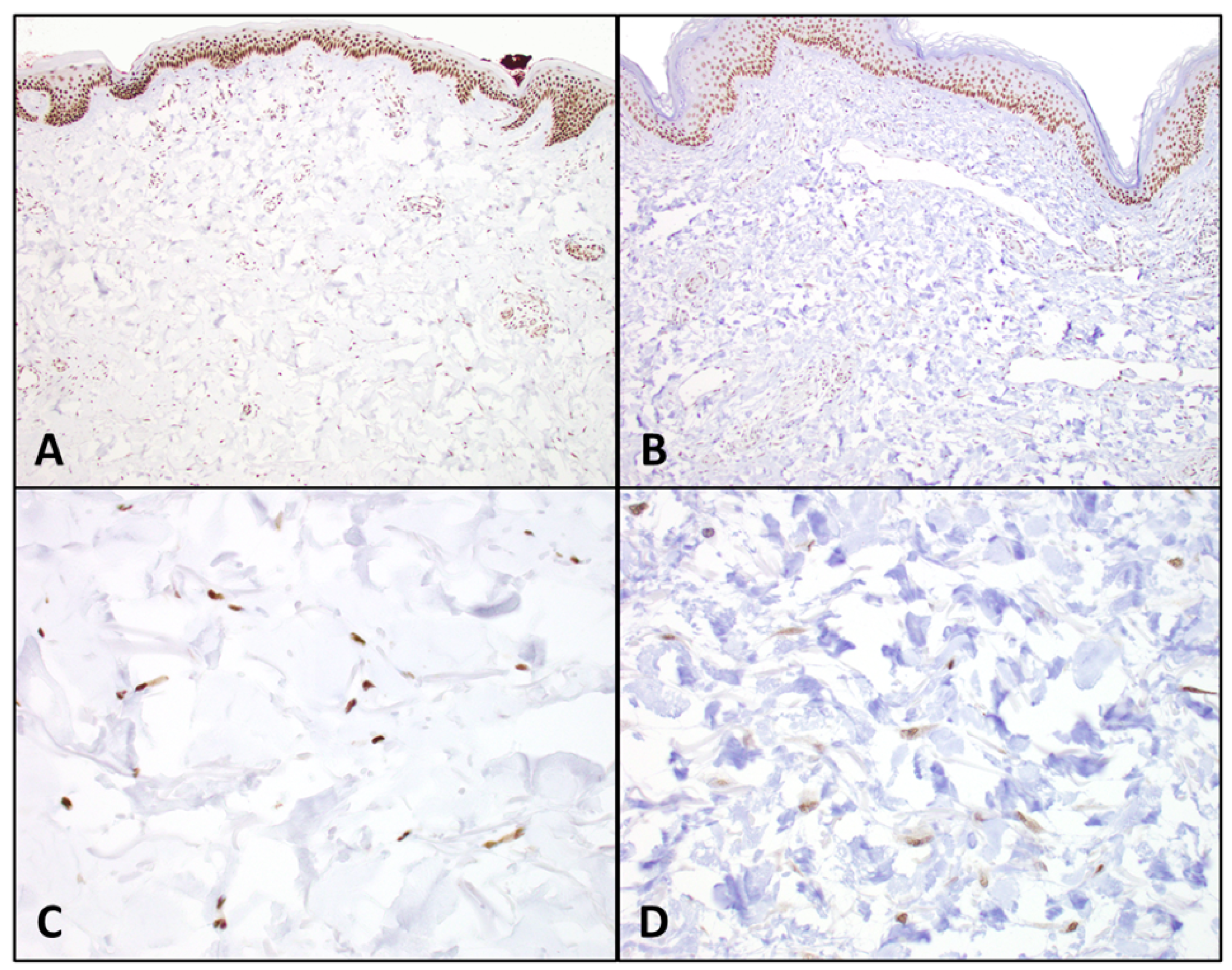 Biomedicines 13 00344 g003