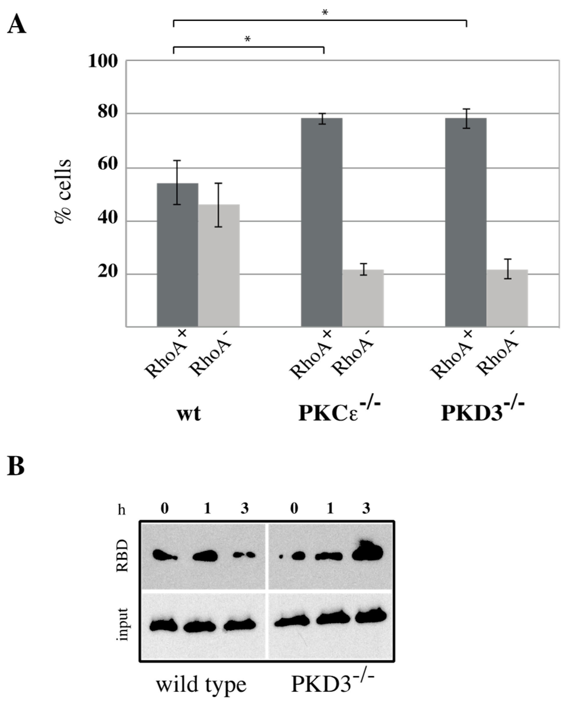 Biomedicines 13 00345 g005