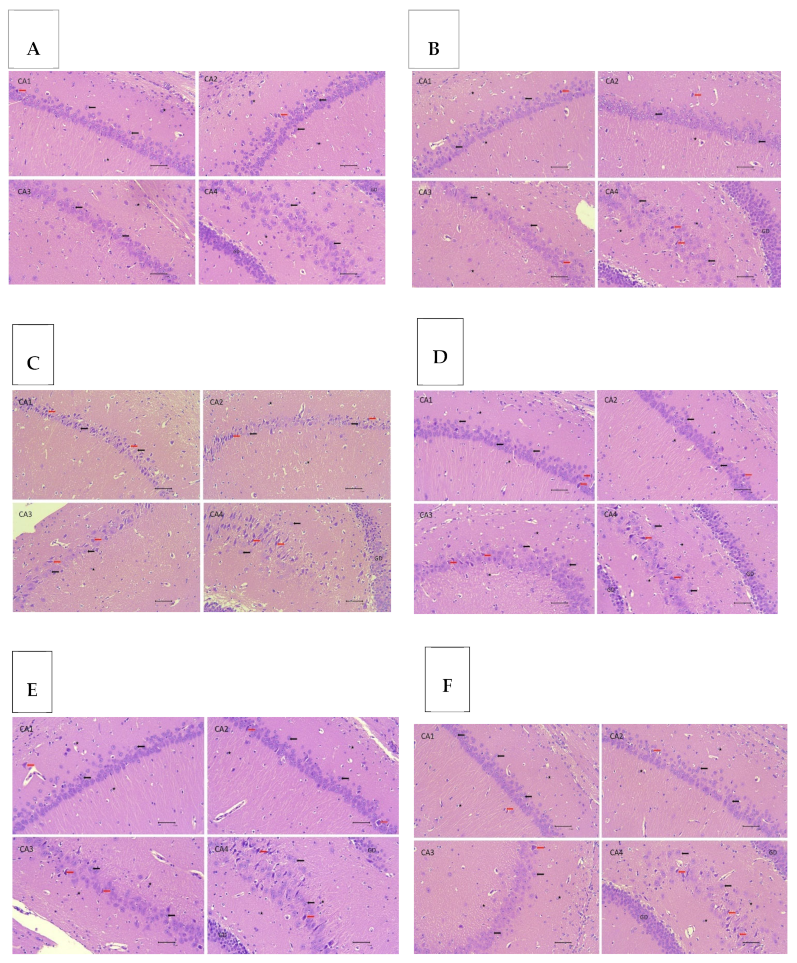 Biomedicines 13 00346 g006