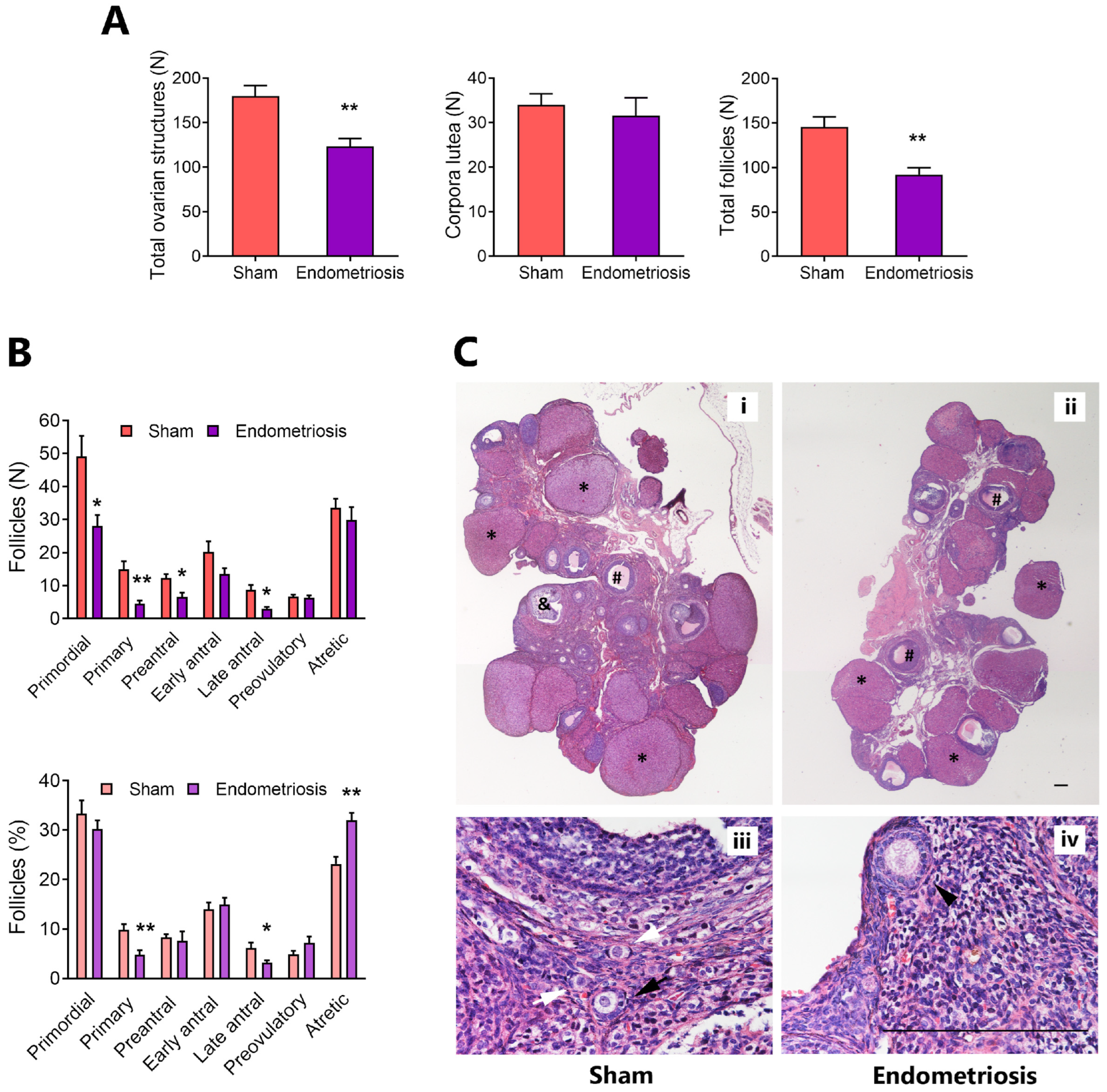 Biomedicines 13 00348 g001