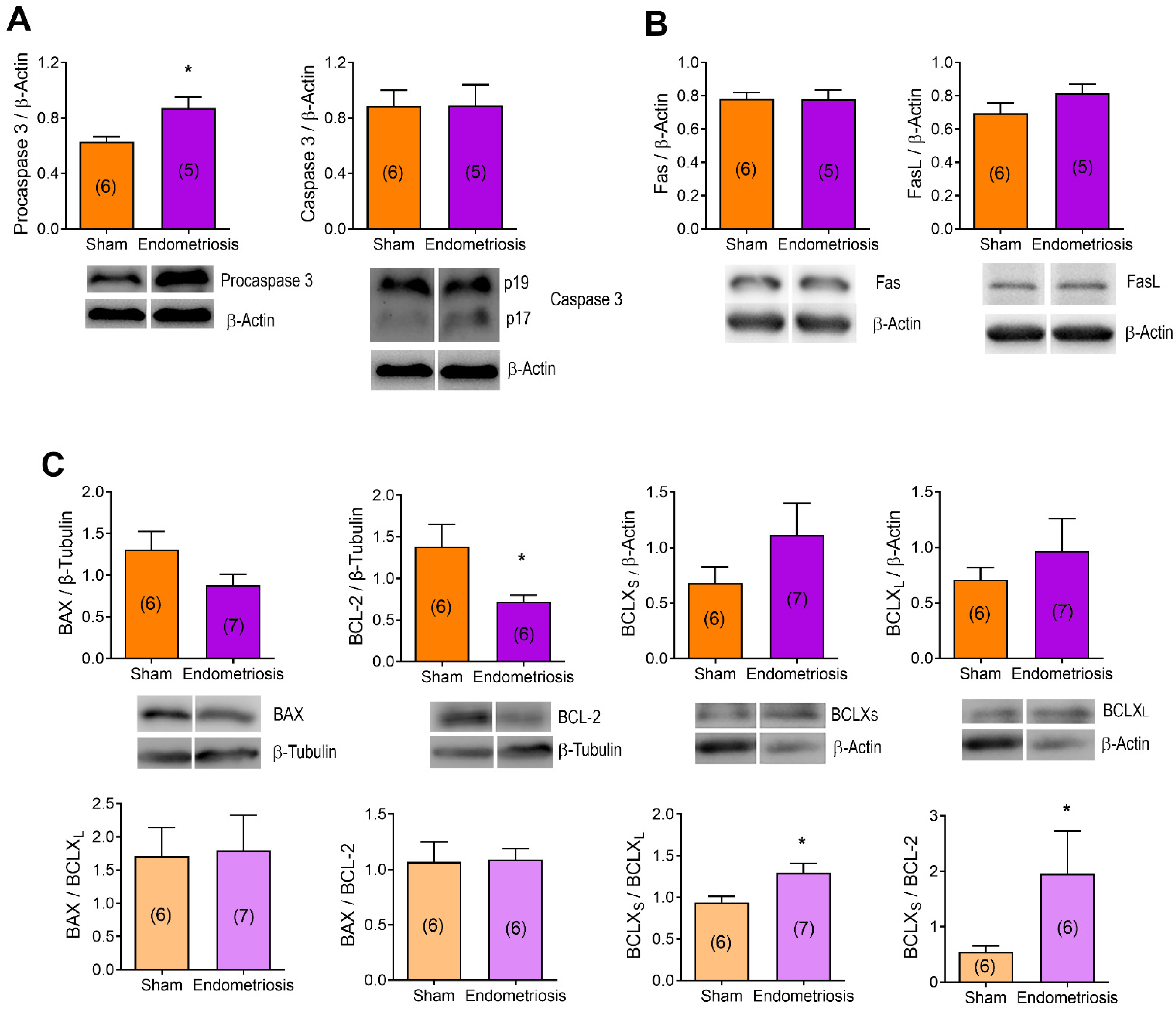 Biomedicines 13 00348 g003