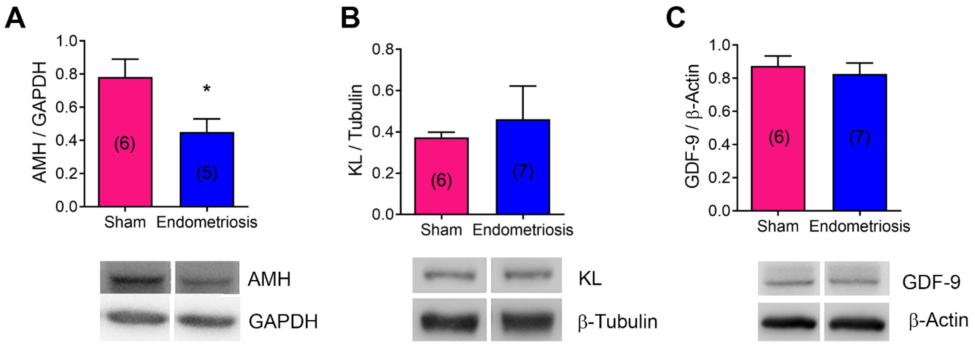 Biomedicines 13 00348 g004