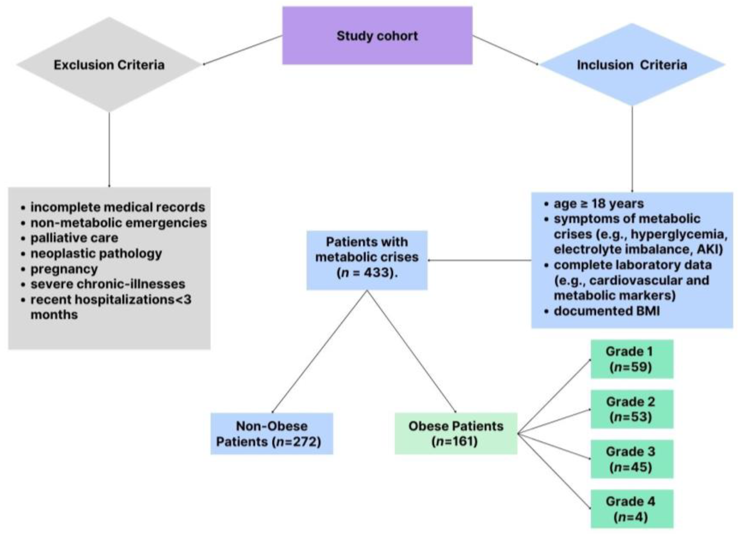 Biomedicines 13 00349 g001