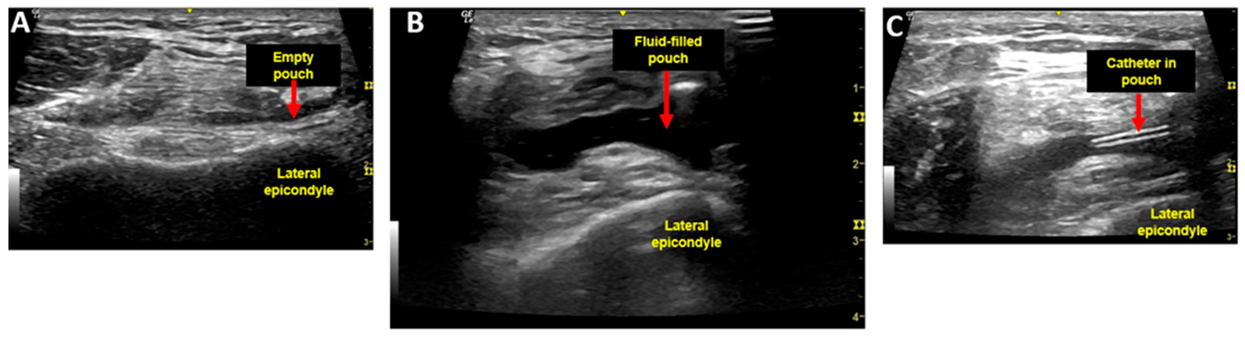Biomedicines 13 00350 g001