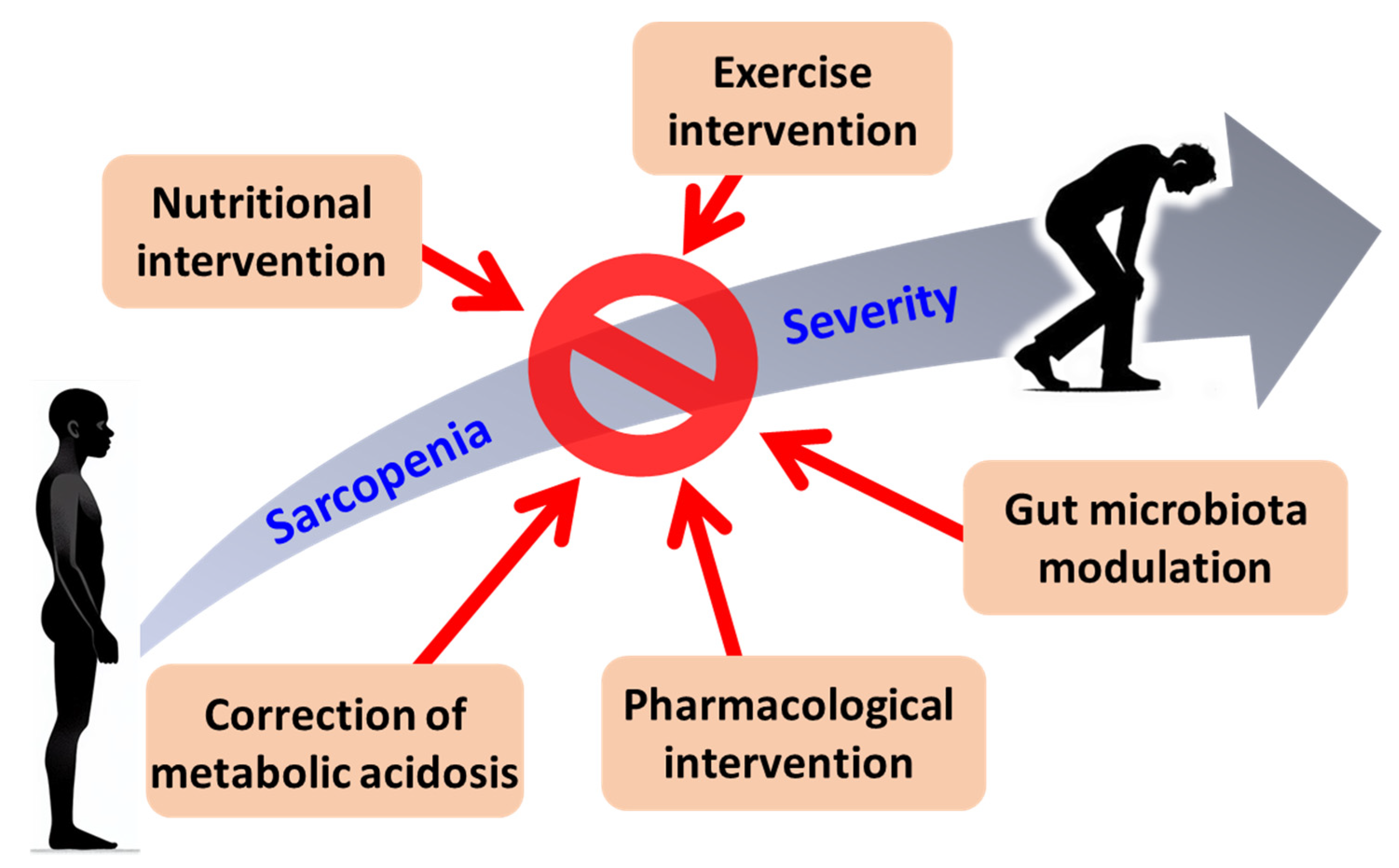 Biomedicines 13 00352 g003