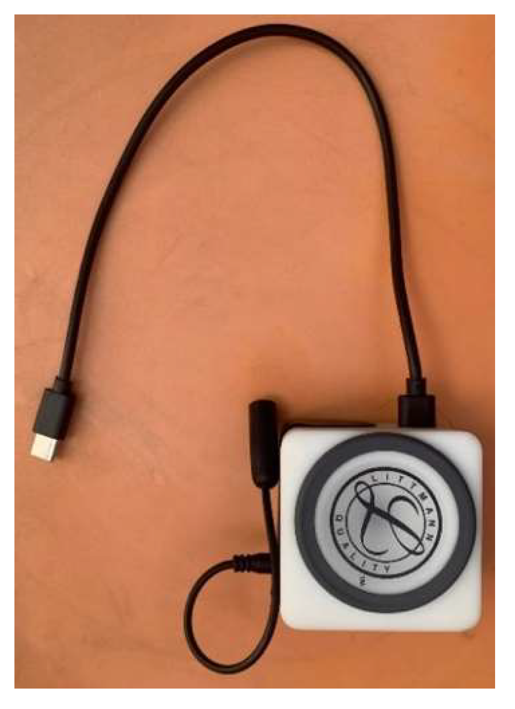 Biomedicines 13 00354 g005