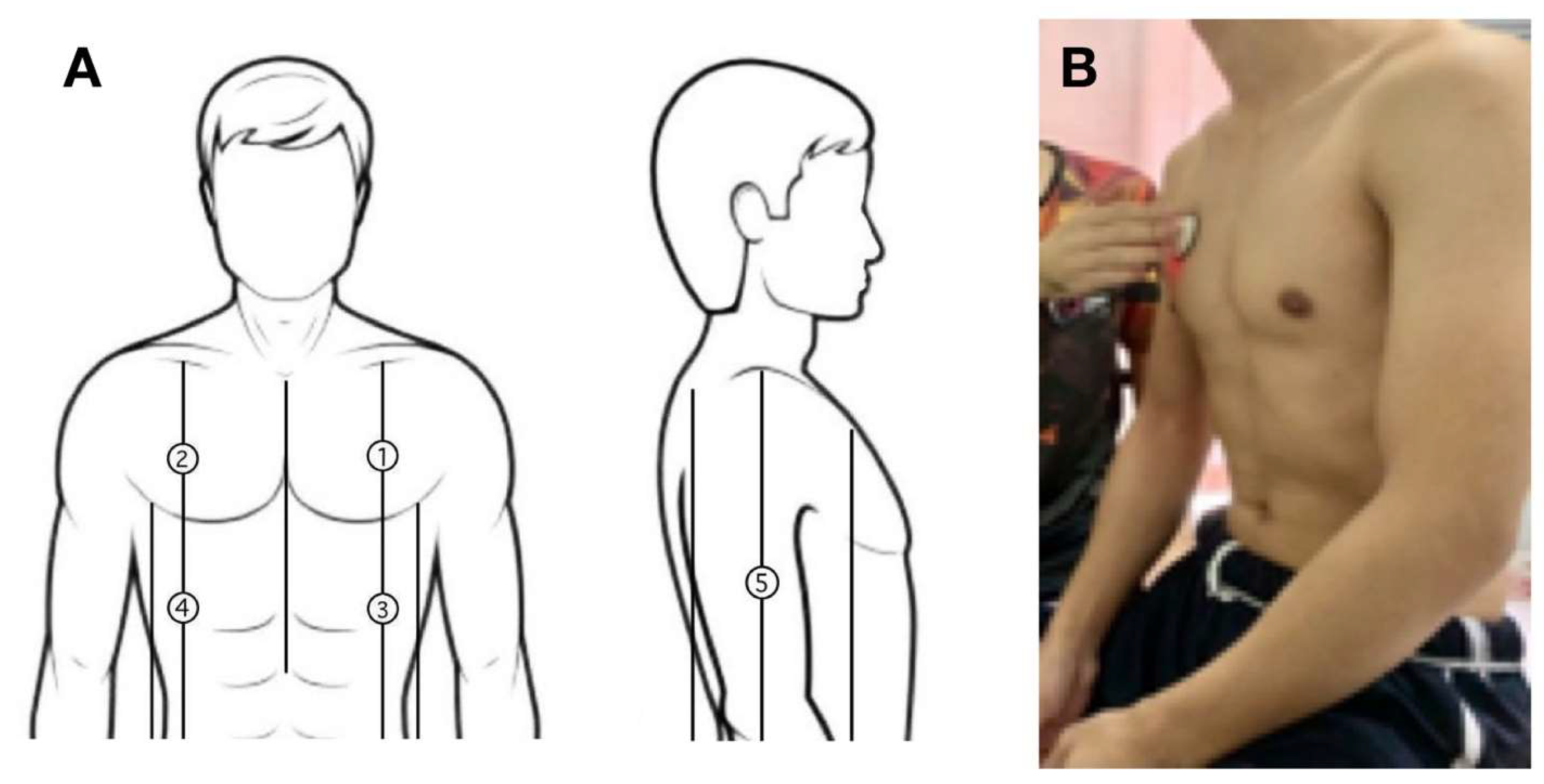 Biomedicines 13 00354 g007