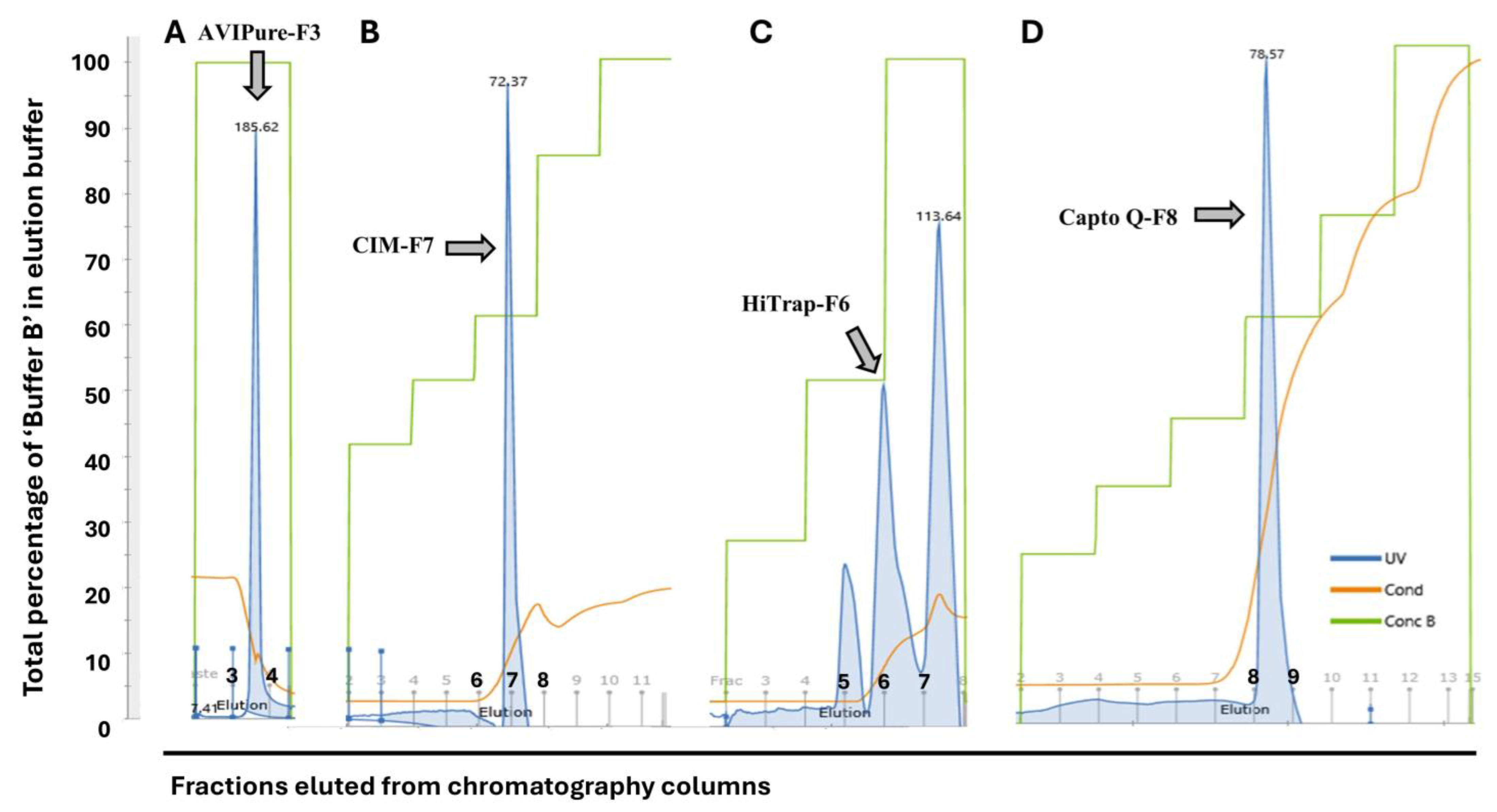 Biomedicines 13 00361 g001