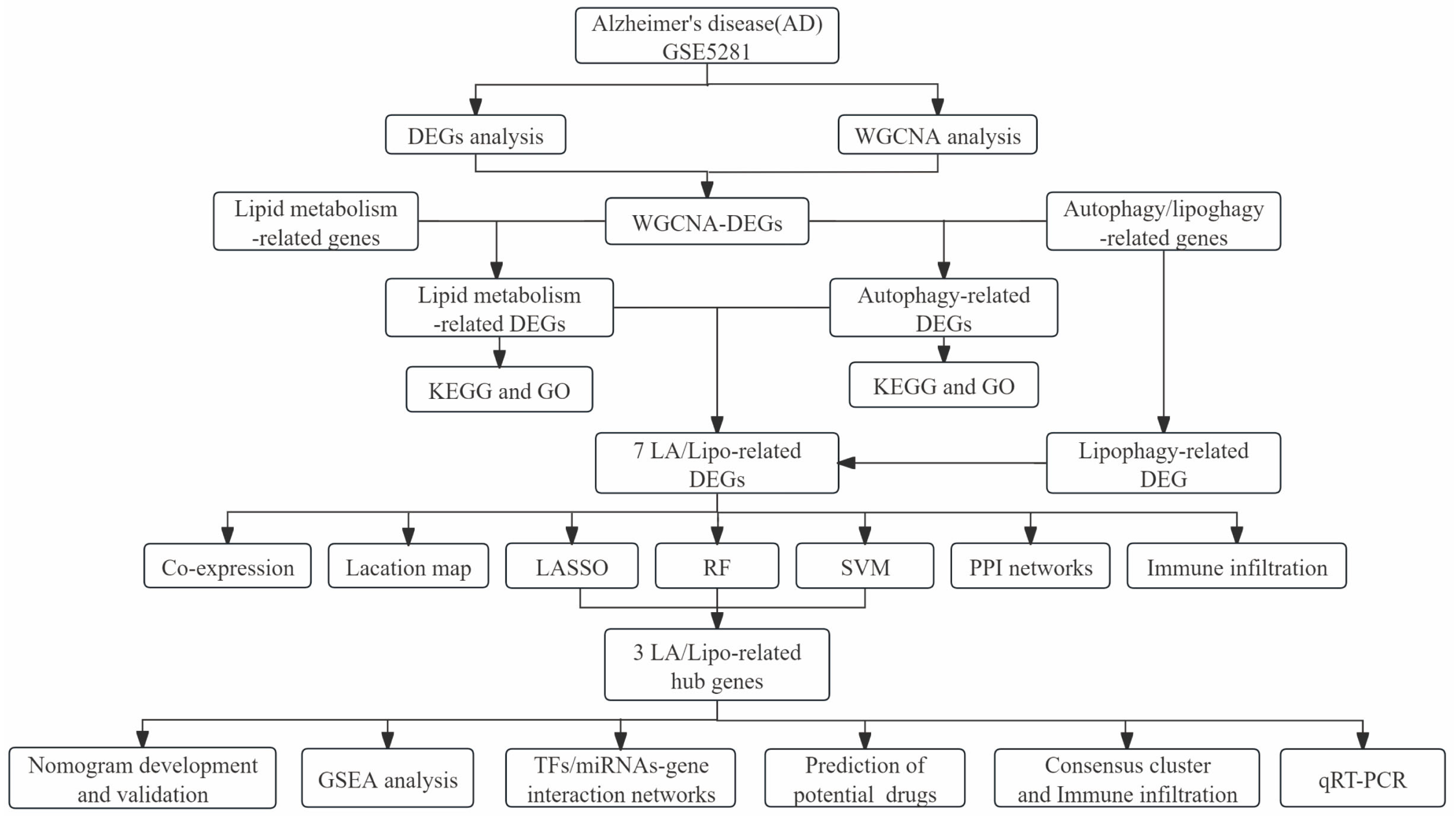 Biomedicines 13 00362 g001