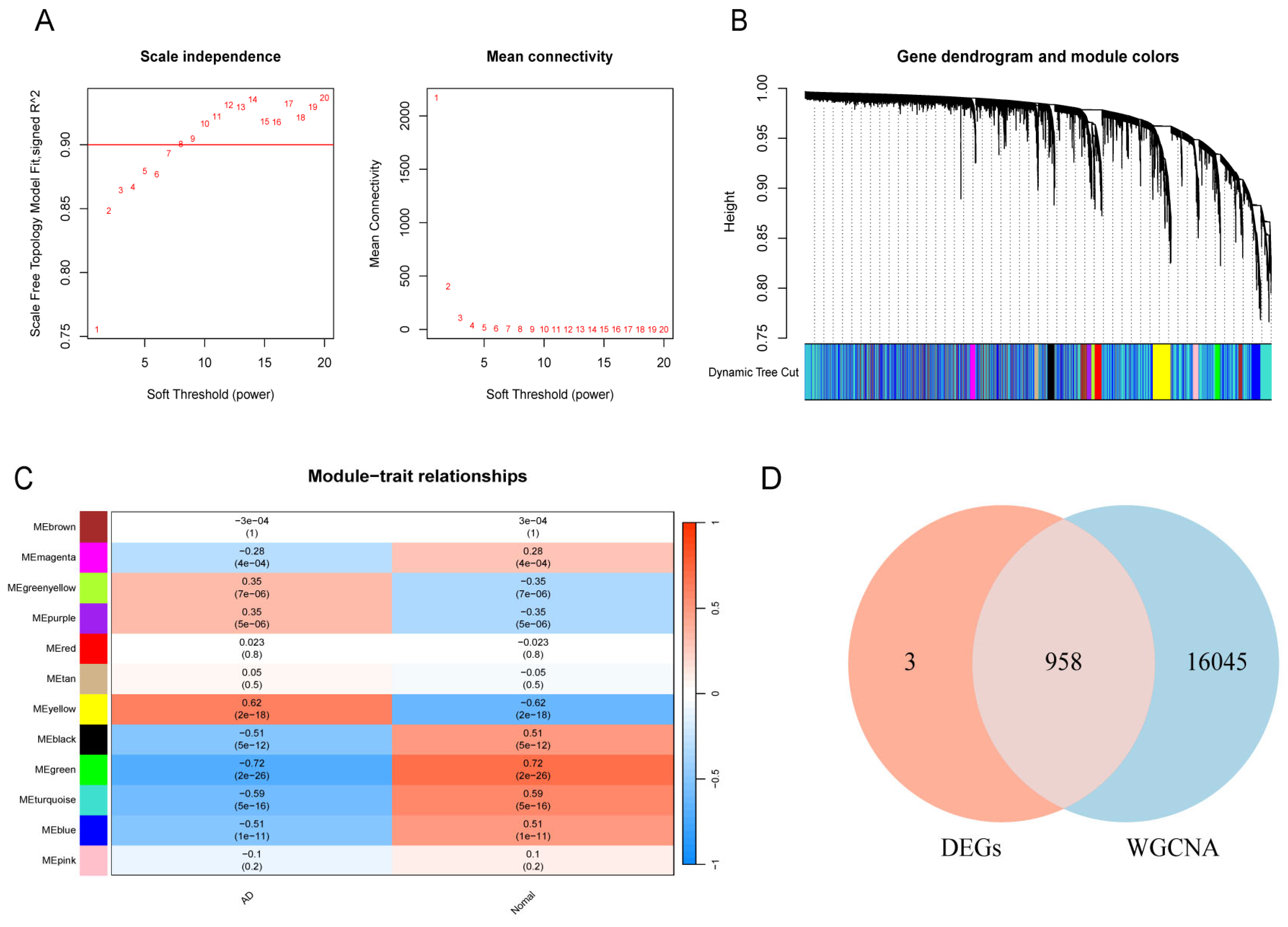 Biomedicines 13 00362 g003