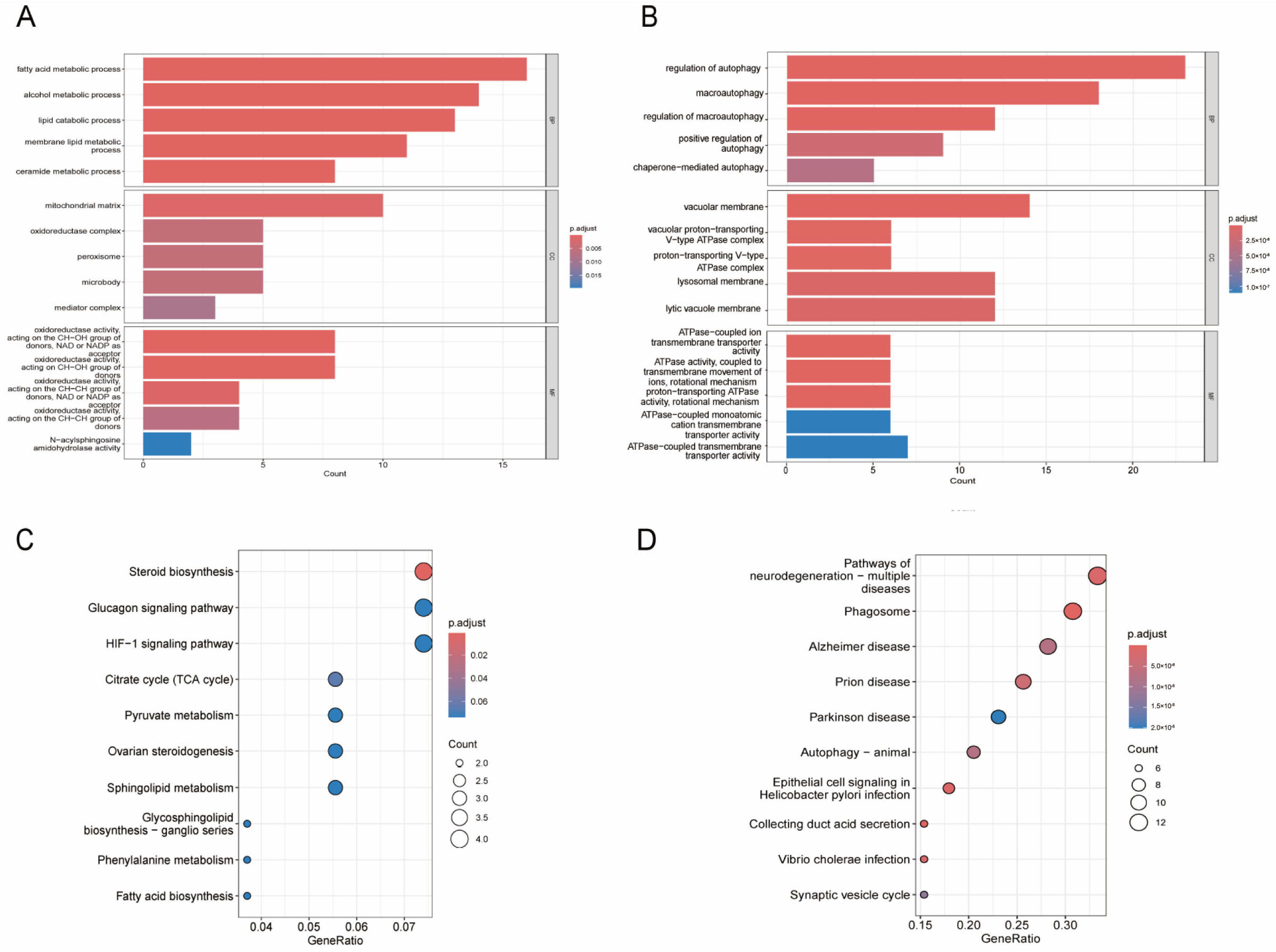 Biomedicines 13 00362 g004