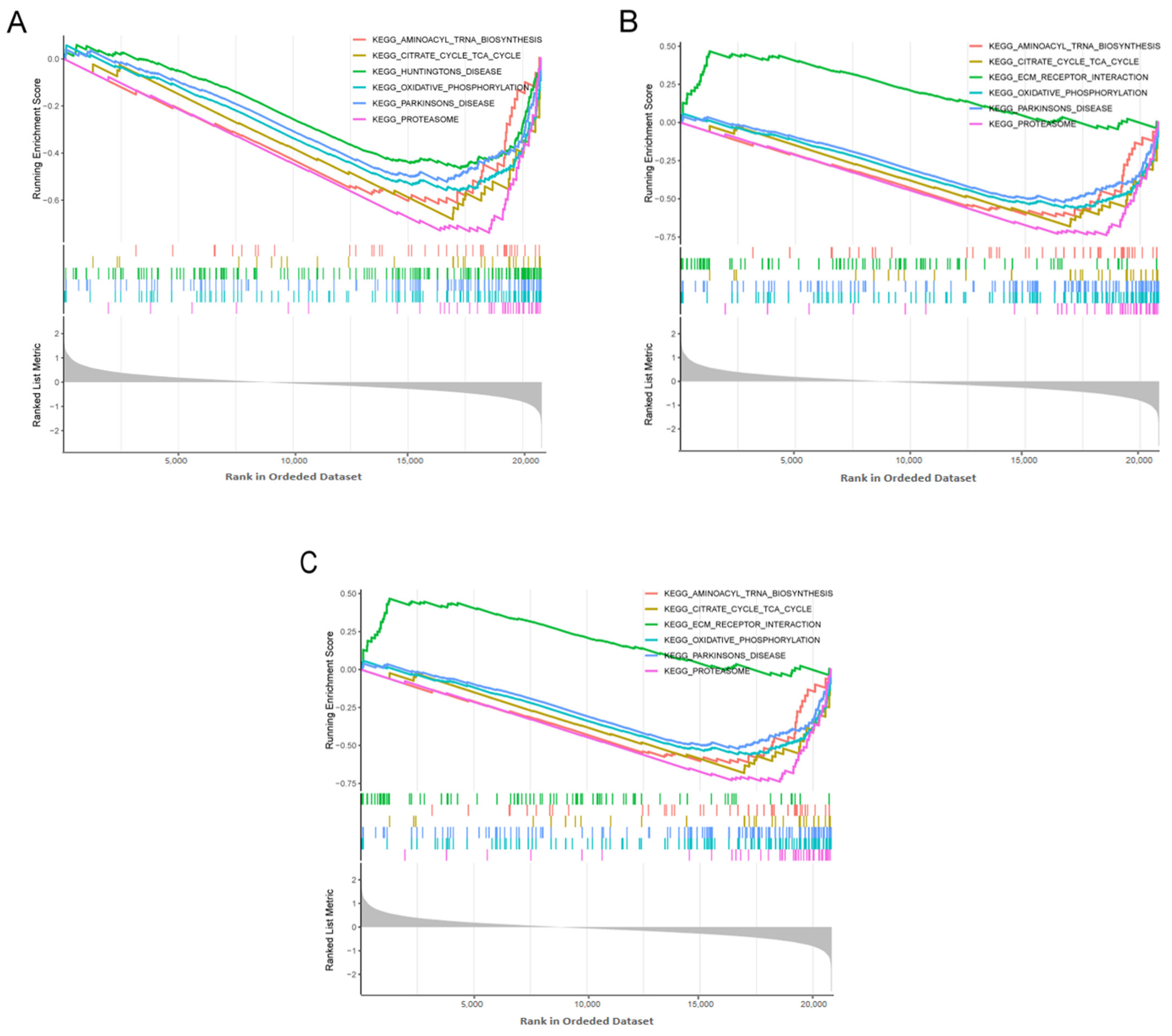 Biomedicines 13 00362 g009