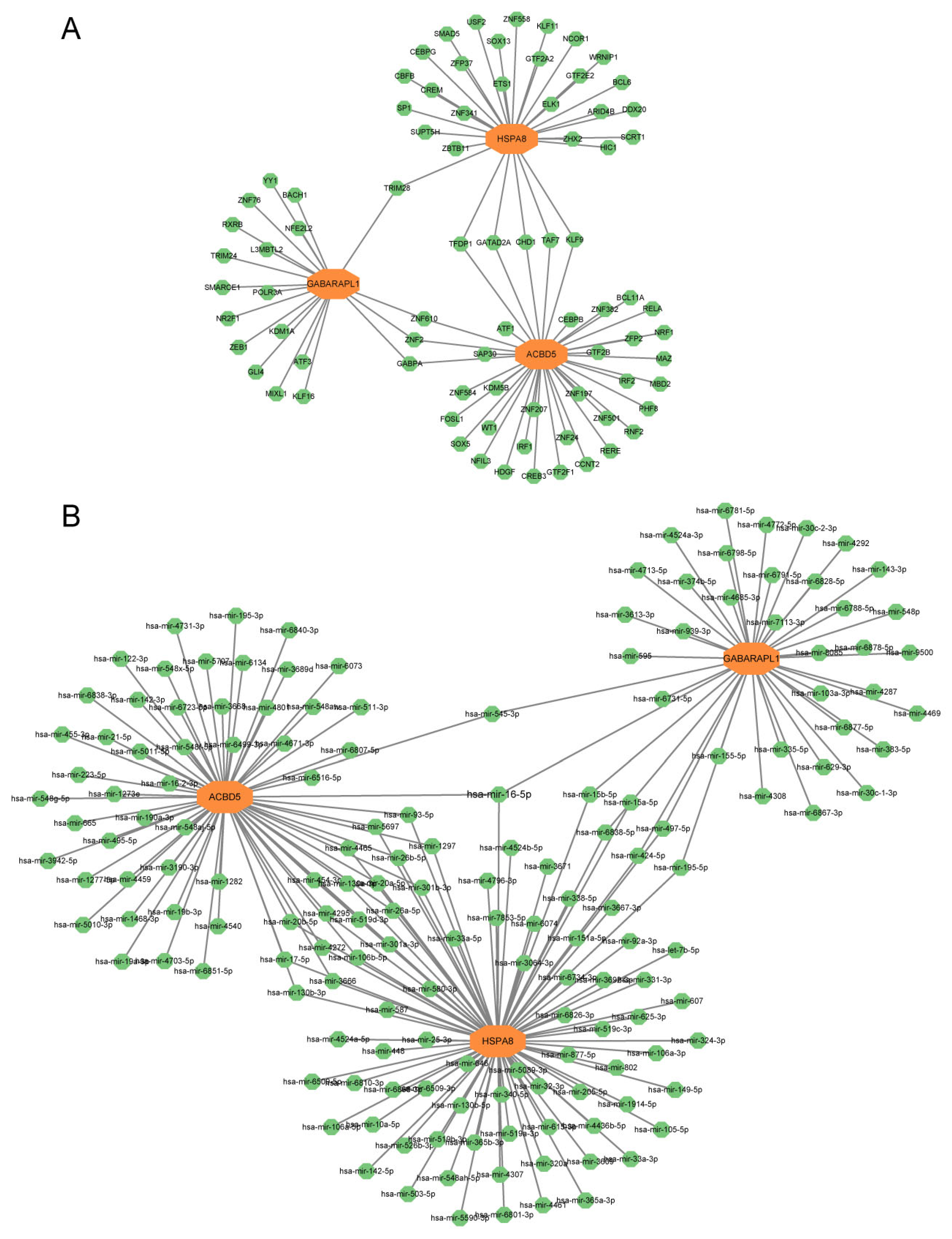 Biomedicines 13 00362 g010