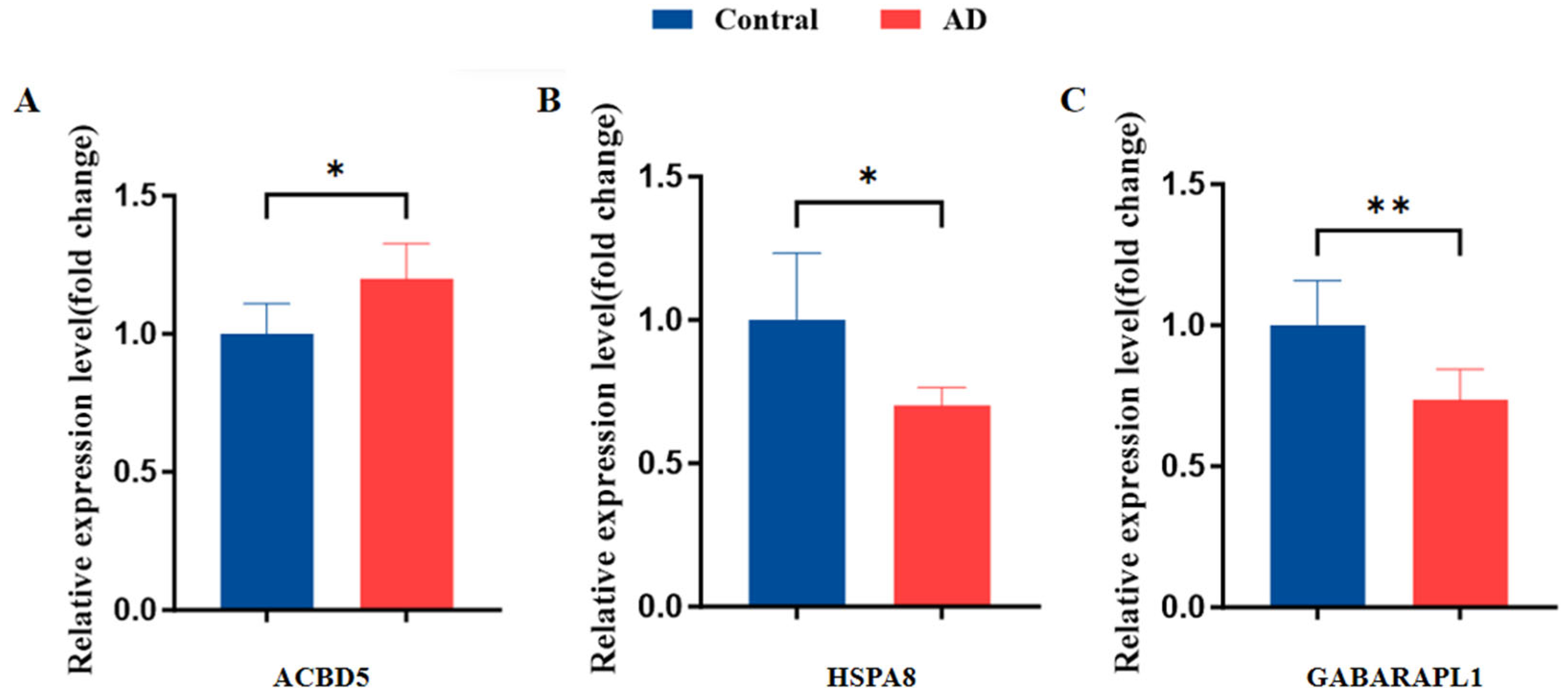 Biomedicines 13 00362 g011