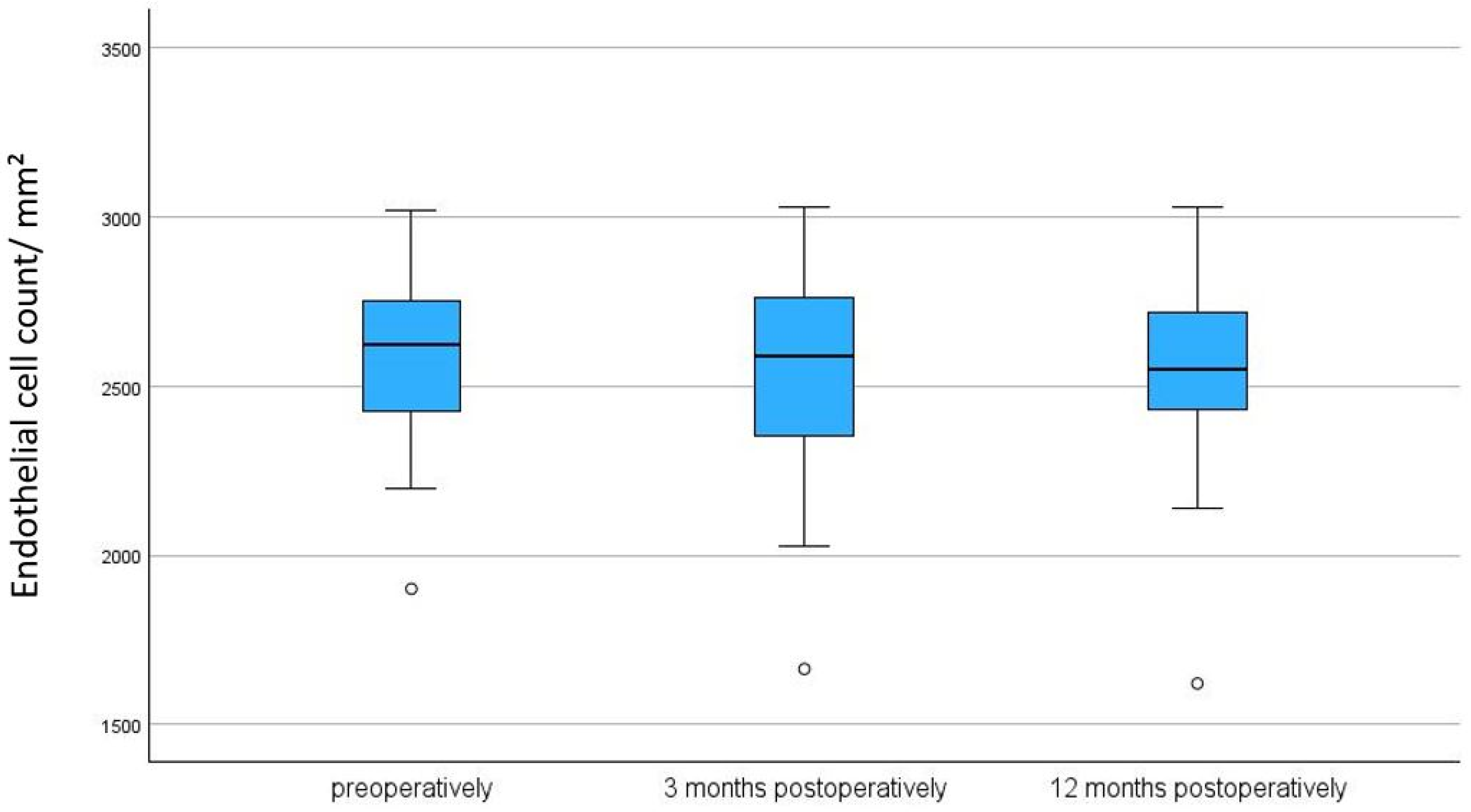 Biomedicines 13 00364 g001