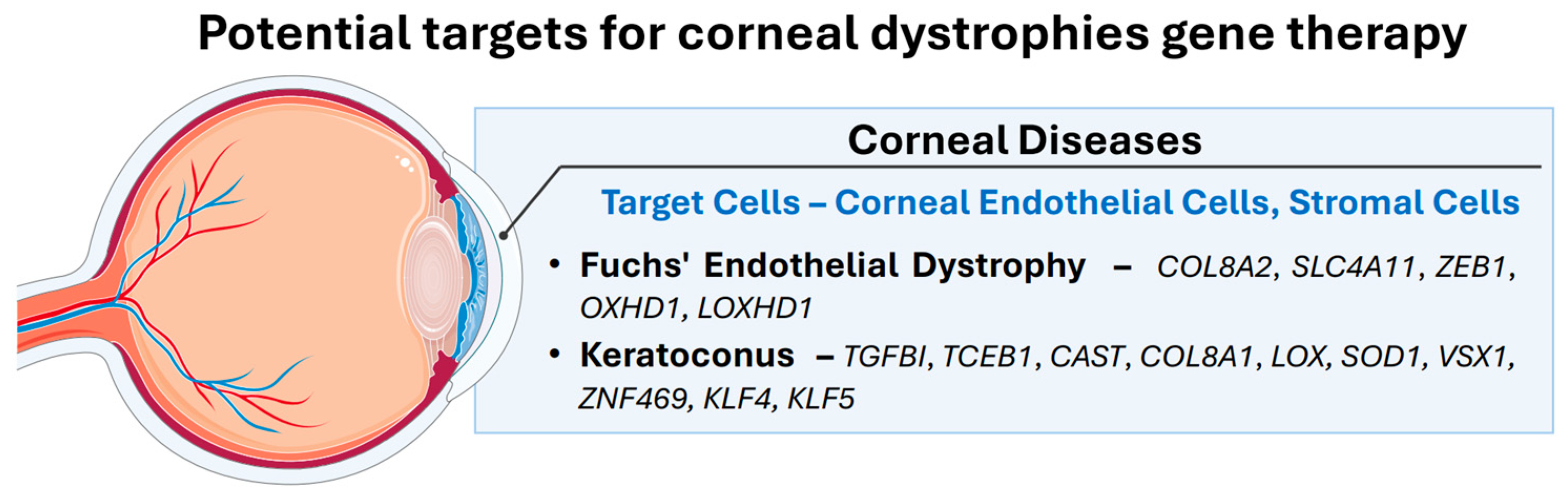 Biomedicines 13 00365 g004 Biomedicines 13 00365 g004