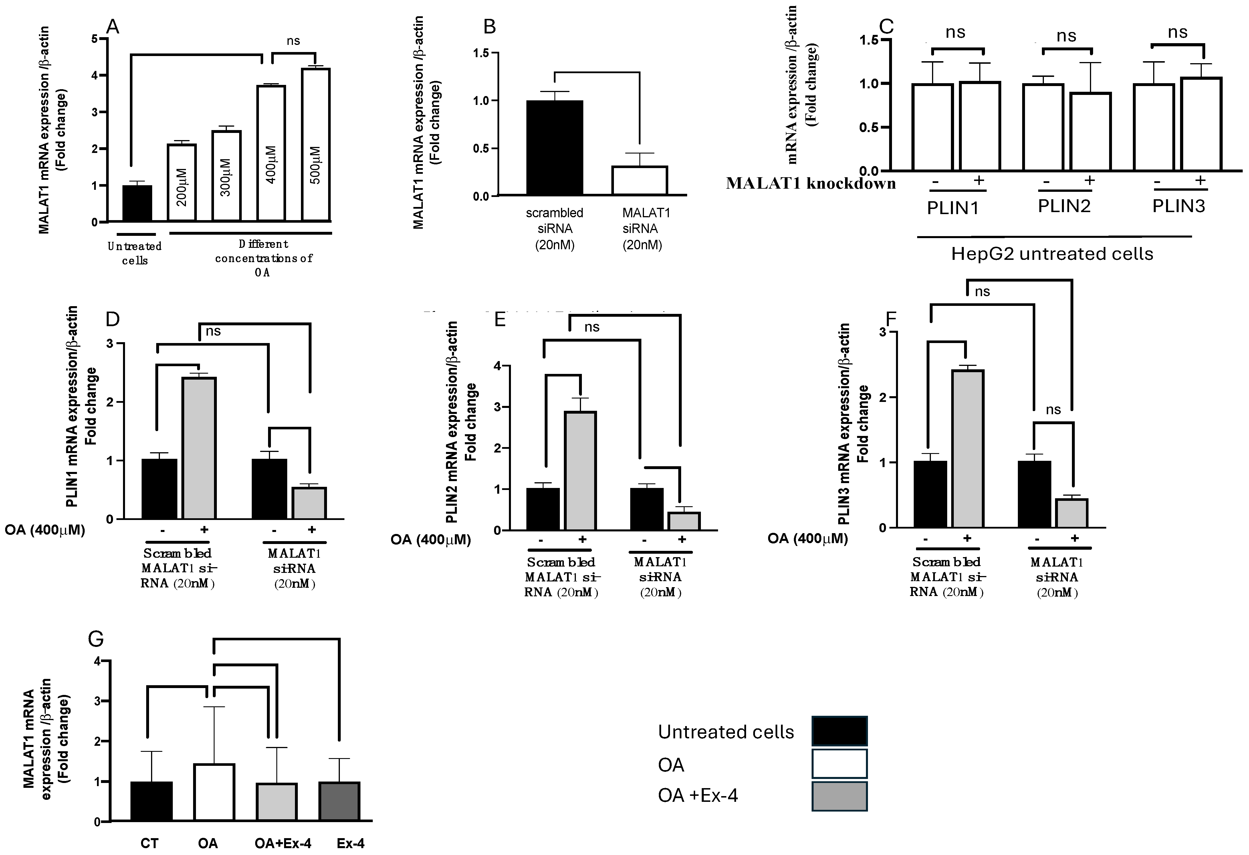 Biomedicines 13 00370 g003