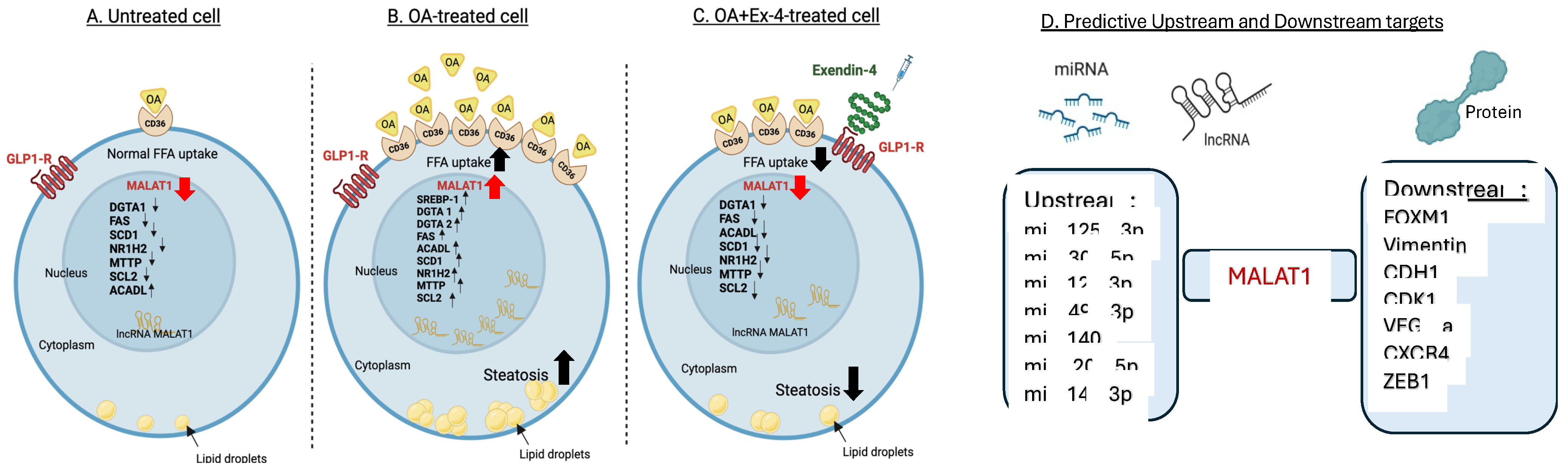 Biomedicines 13 00370 g007