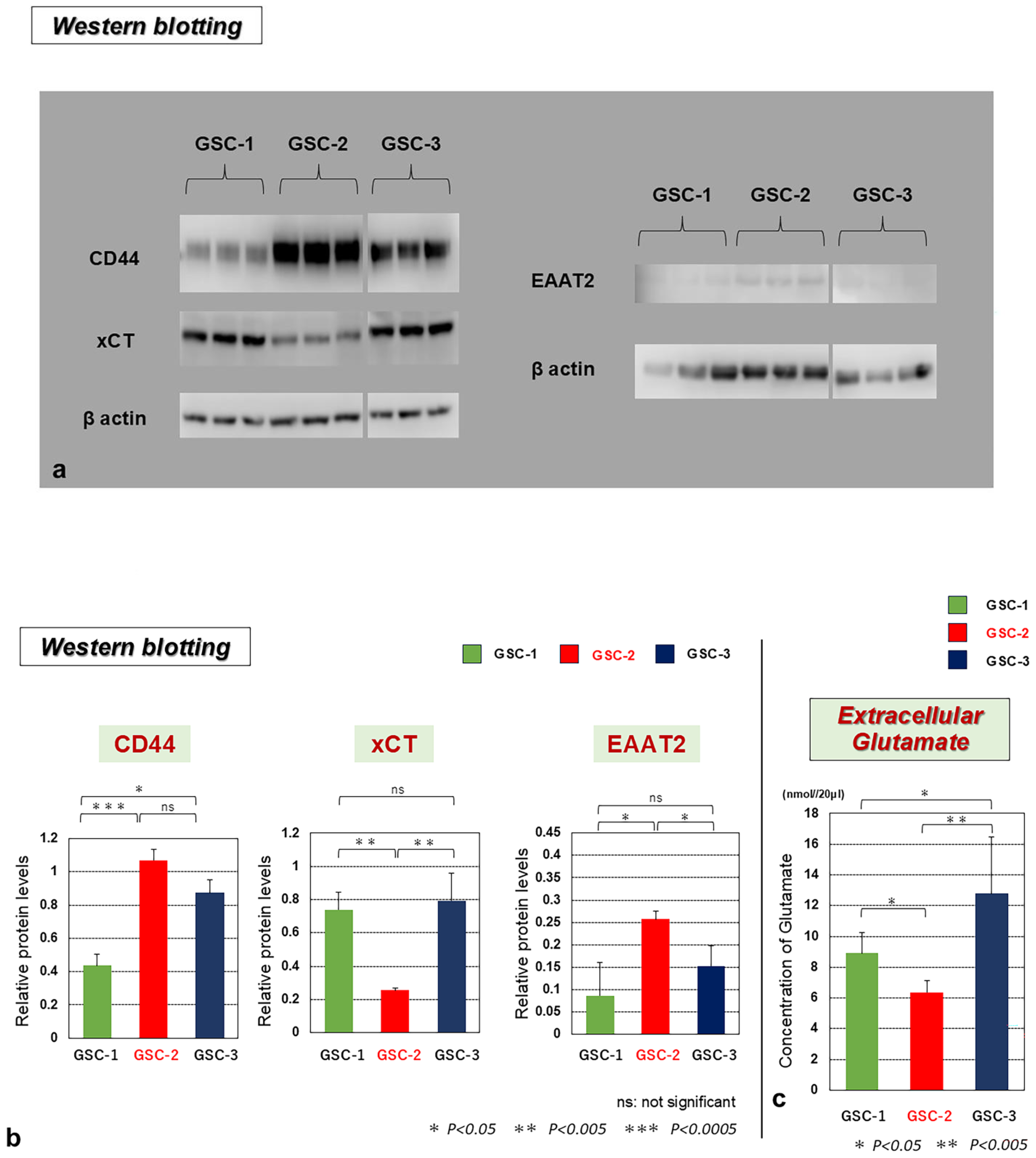 Biomedicines 13 00372 g003