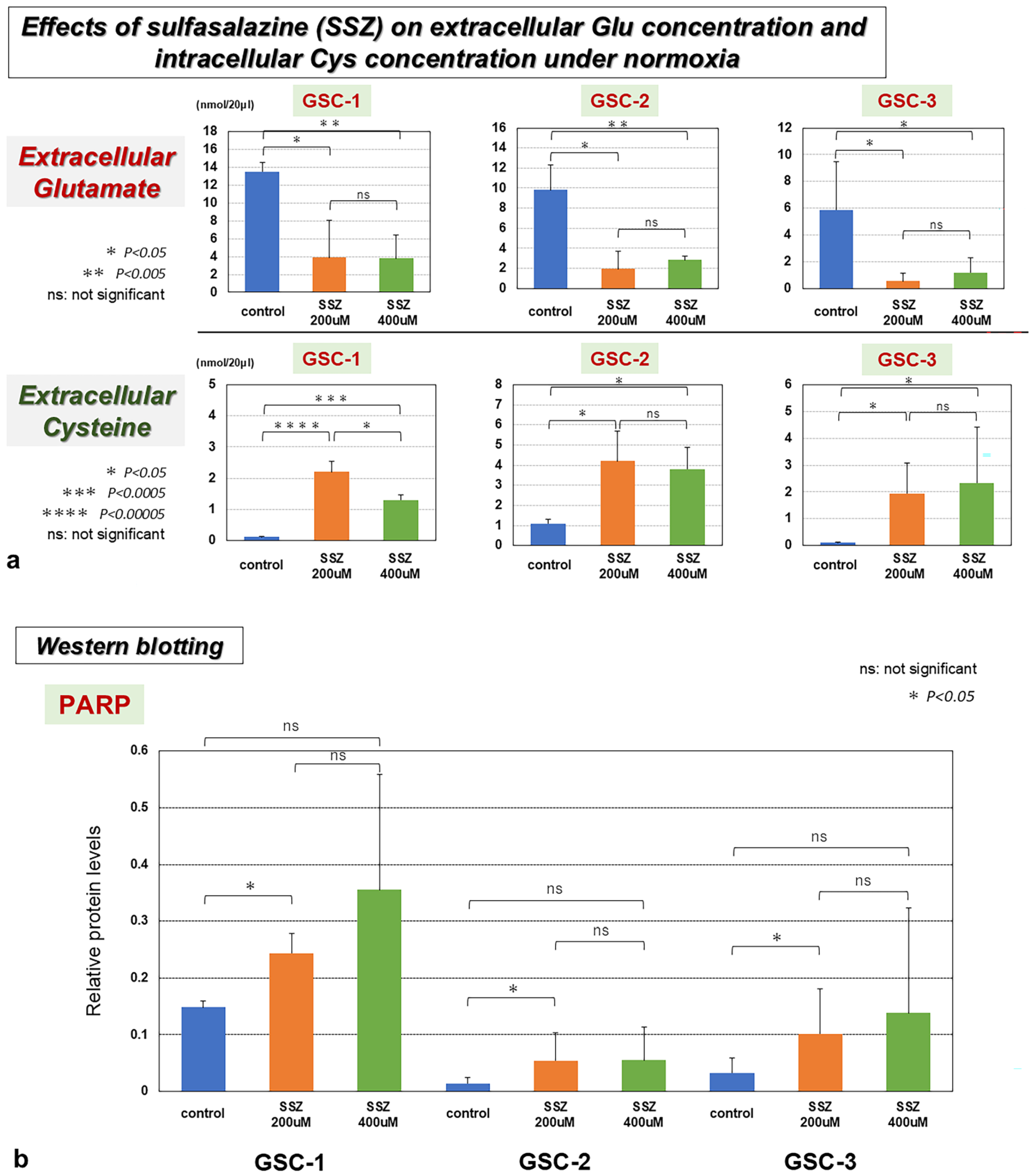 Biomedicines 13 00372 g005