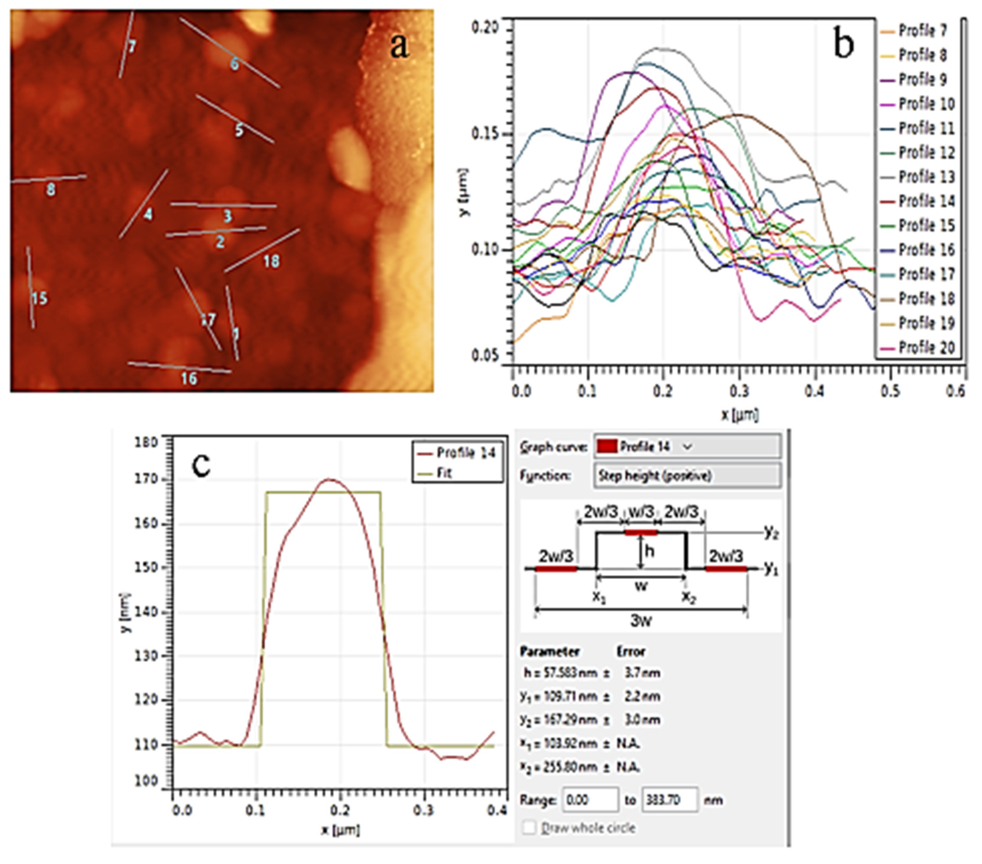 Biomedicines 13 00378 g002