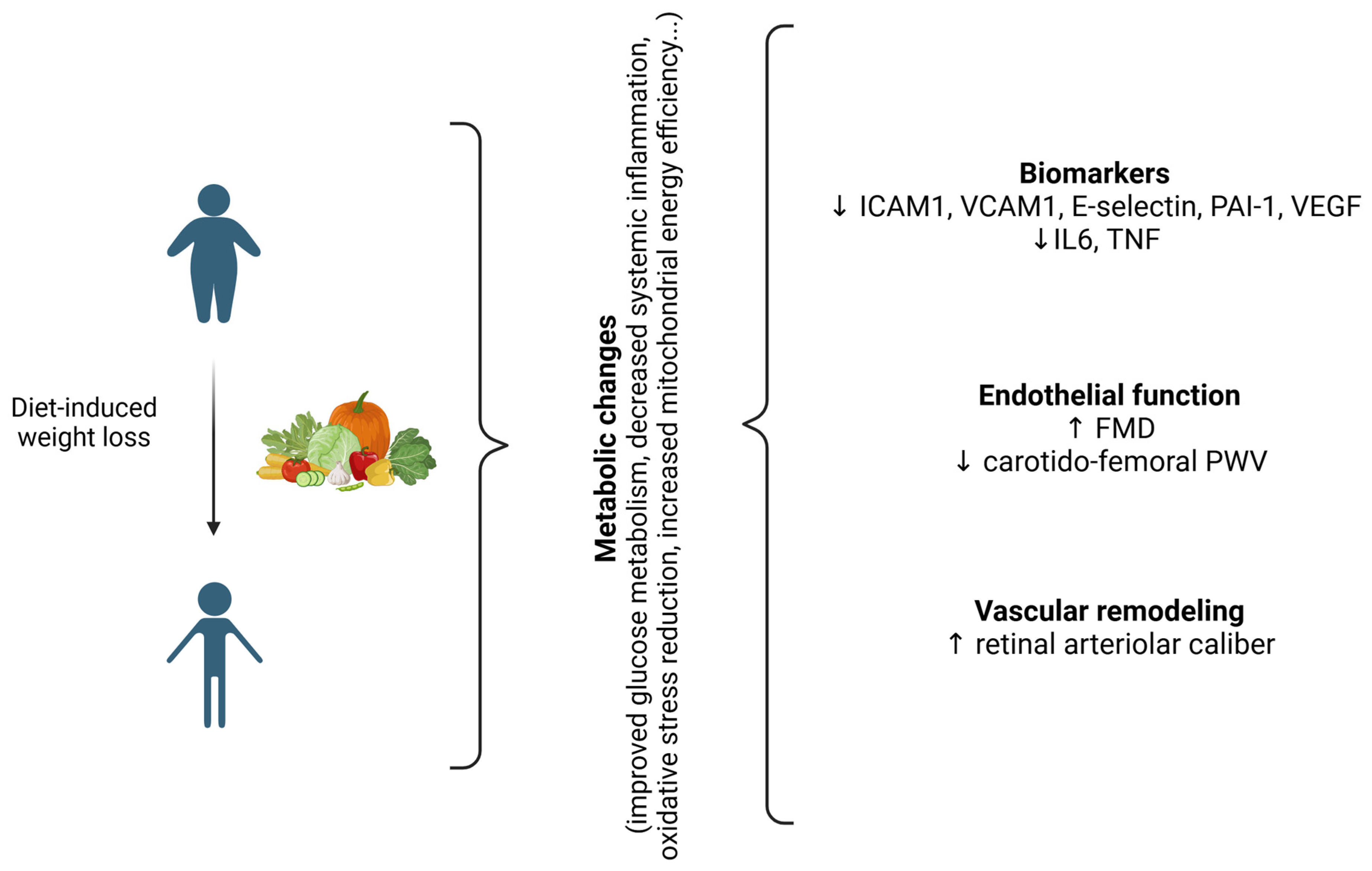 Biomedicines 13 00381 g002