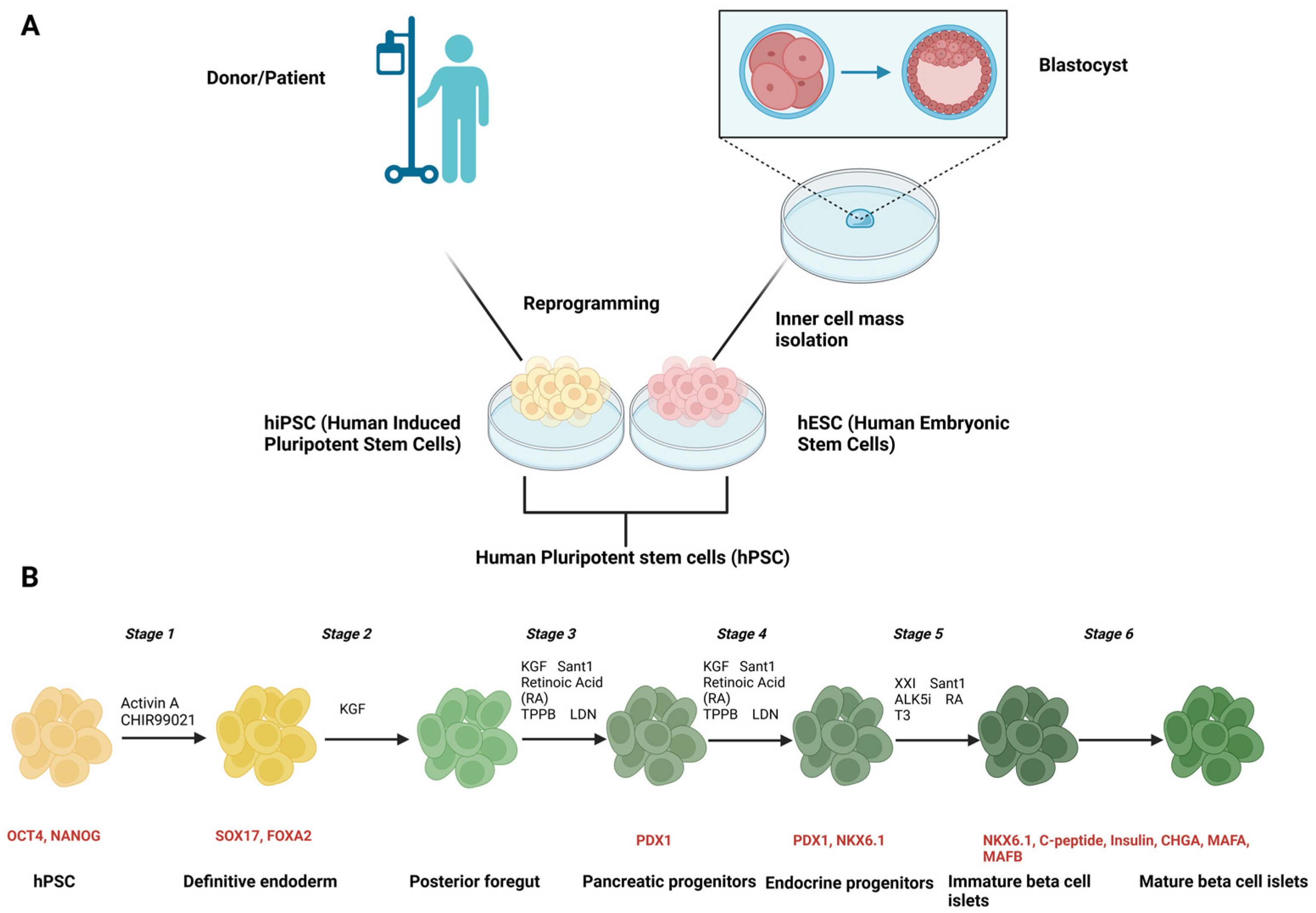 Biomedicines 13 00383 g001 Biomedicines 13 00383 g001