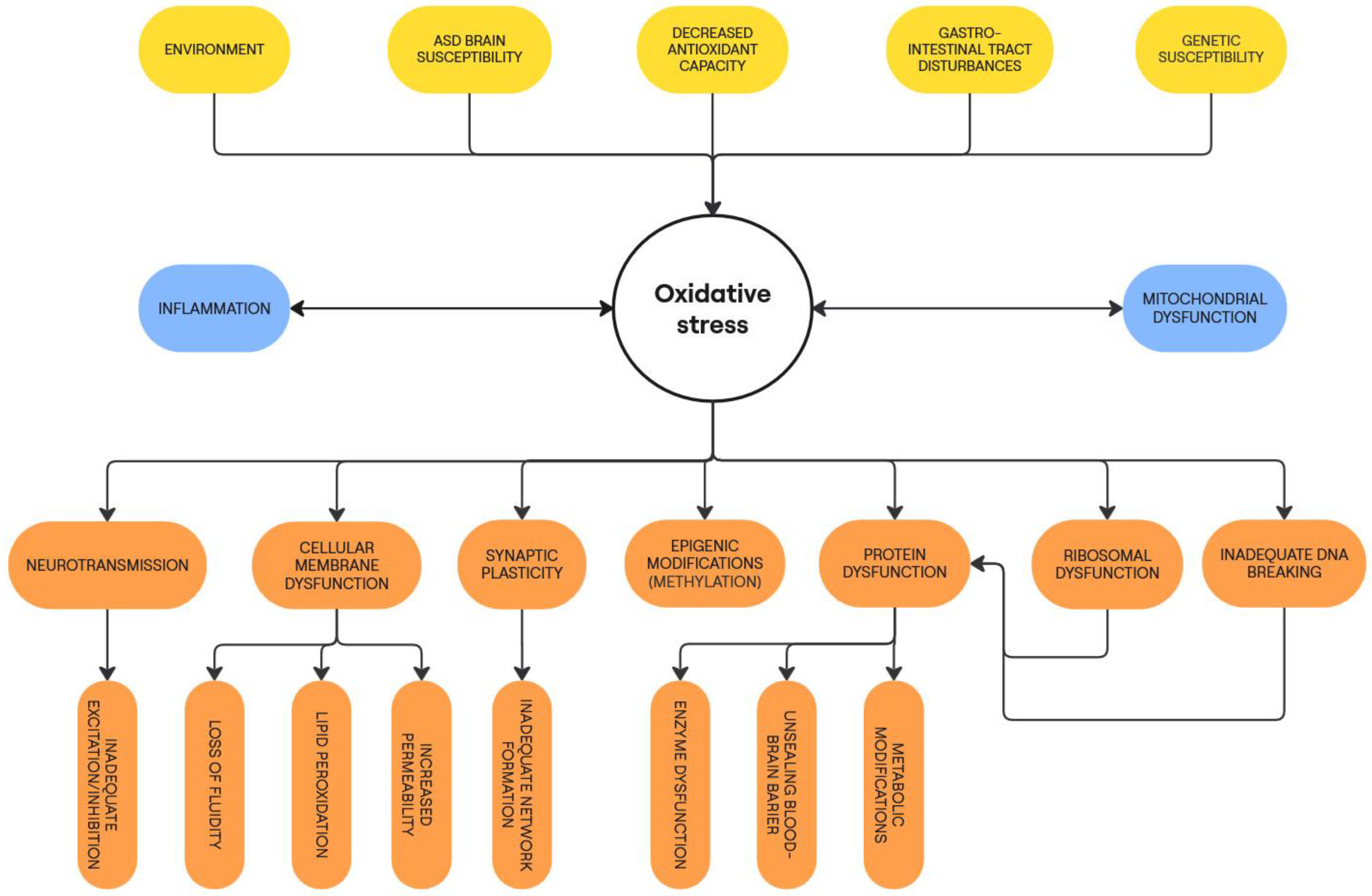 Biomedicines 13 00388 g001