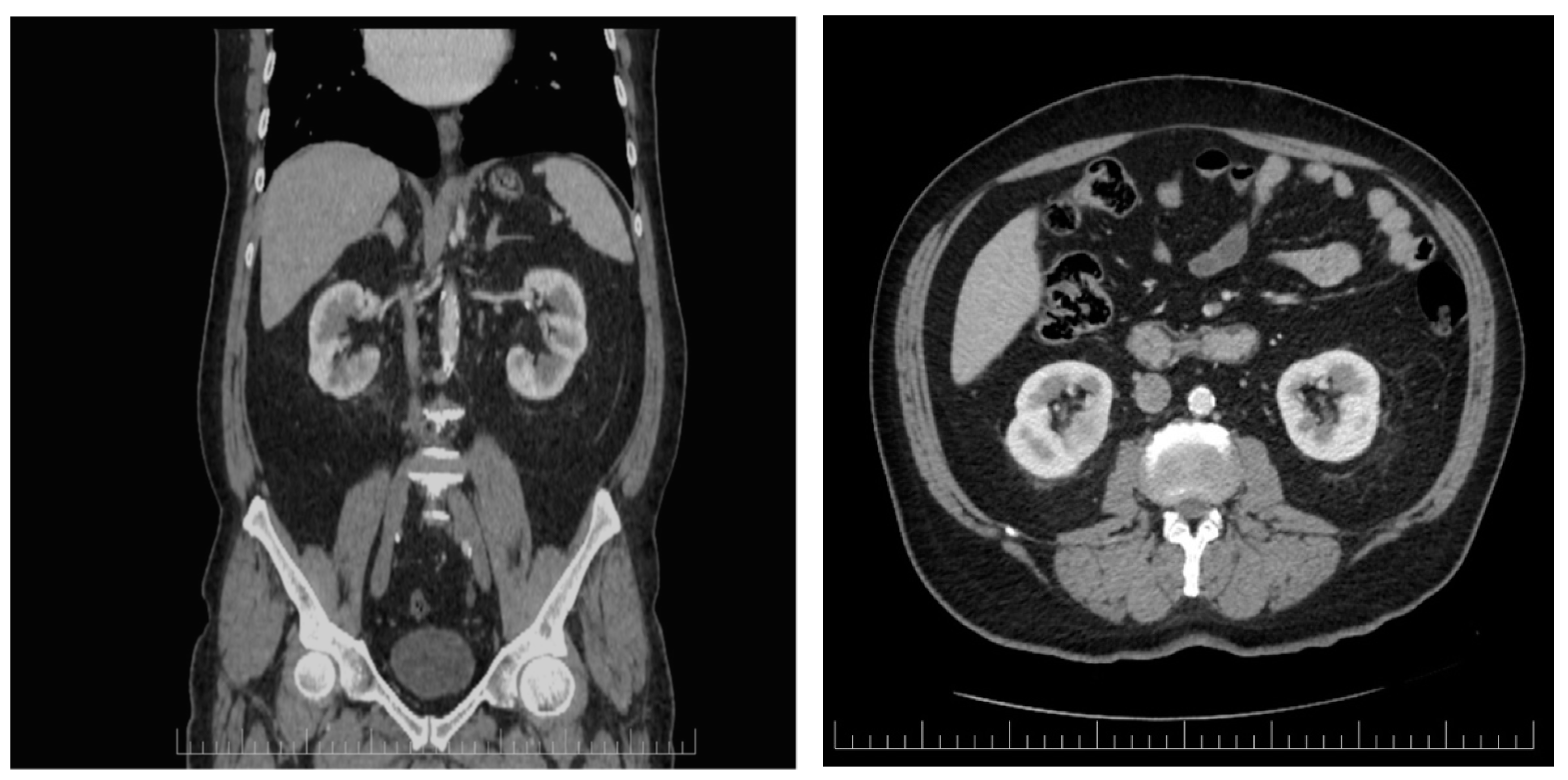 Biomedicines 13 00389 g002