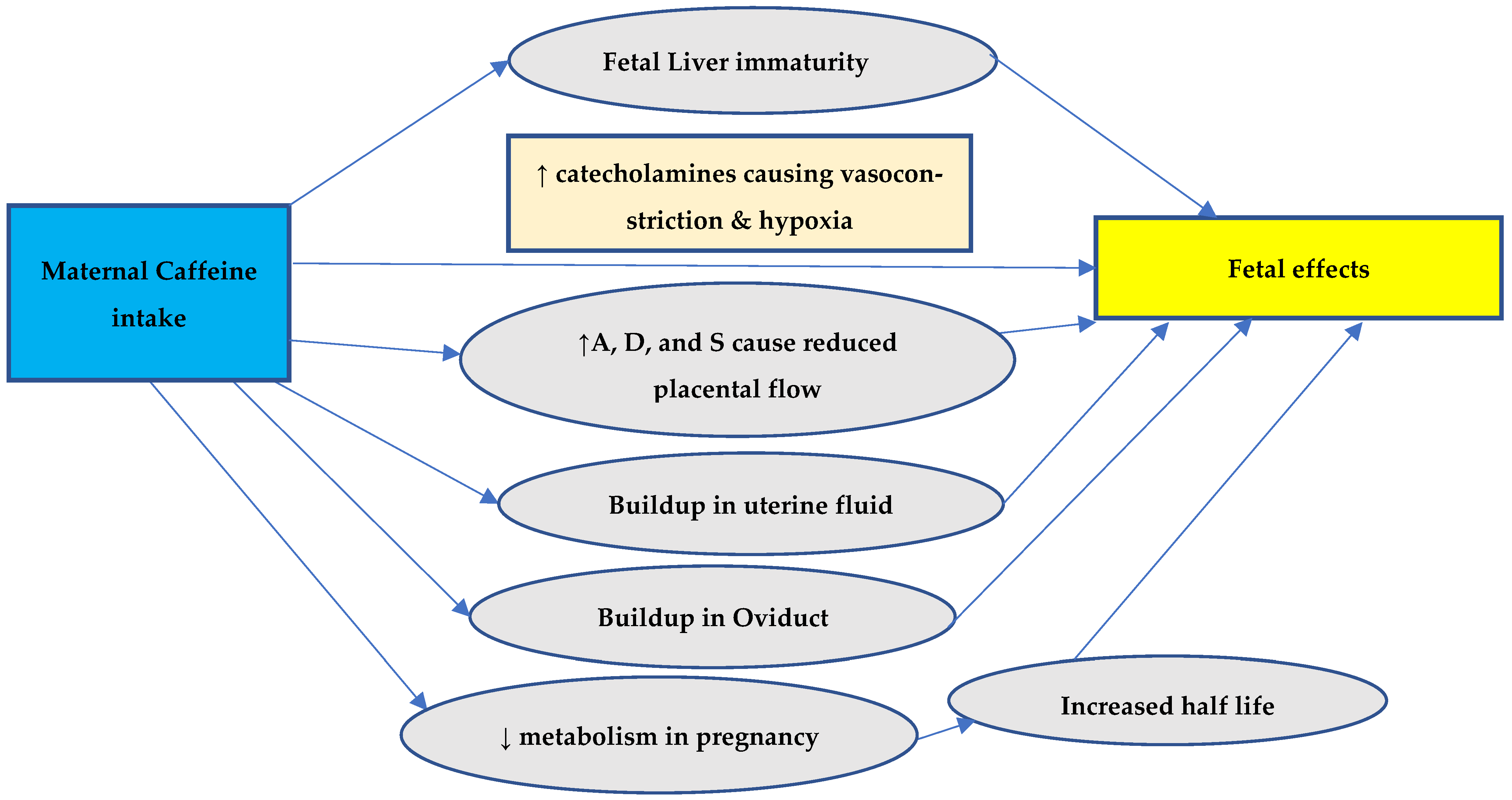 Biomedicines 13 00390 g002