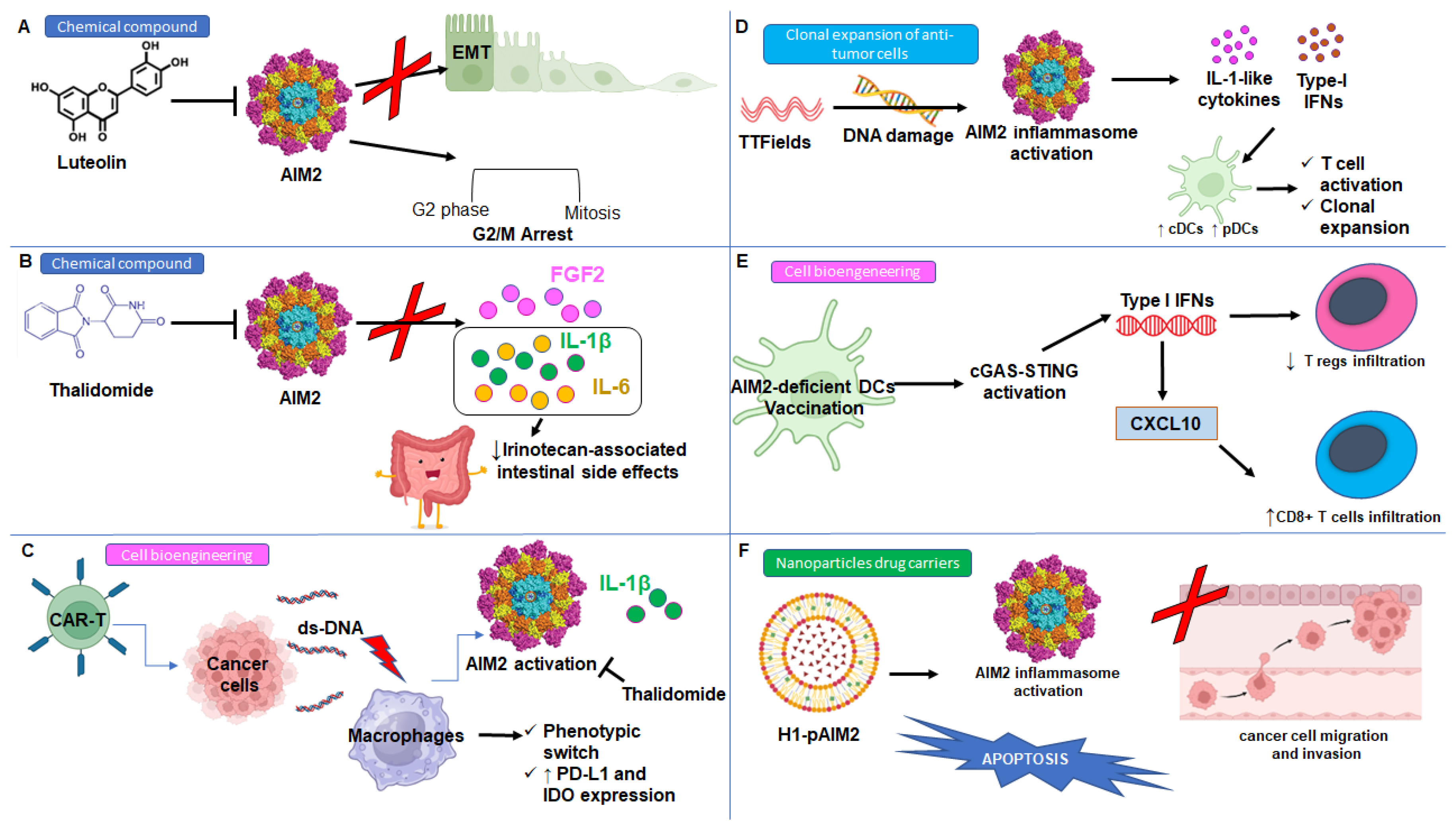 Biomedicines 13 00395 g003