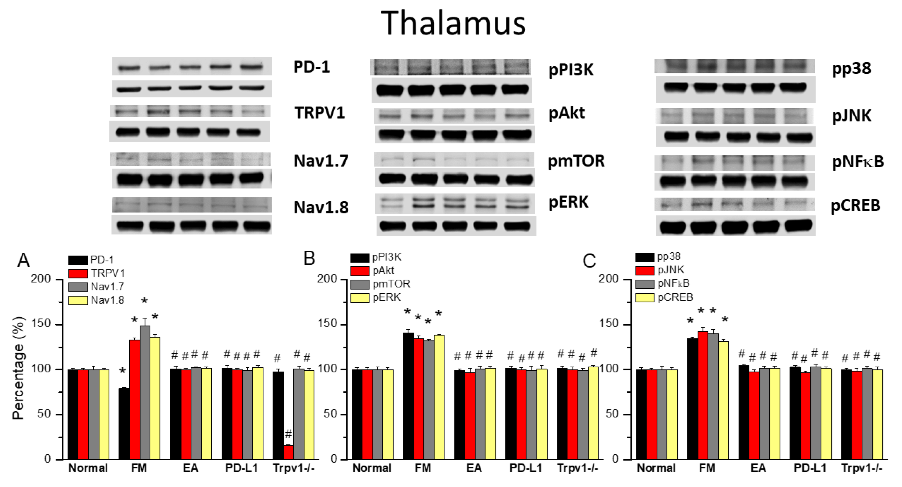 Biomedicines 13 00396 g004