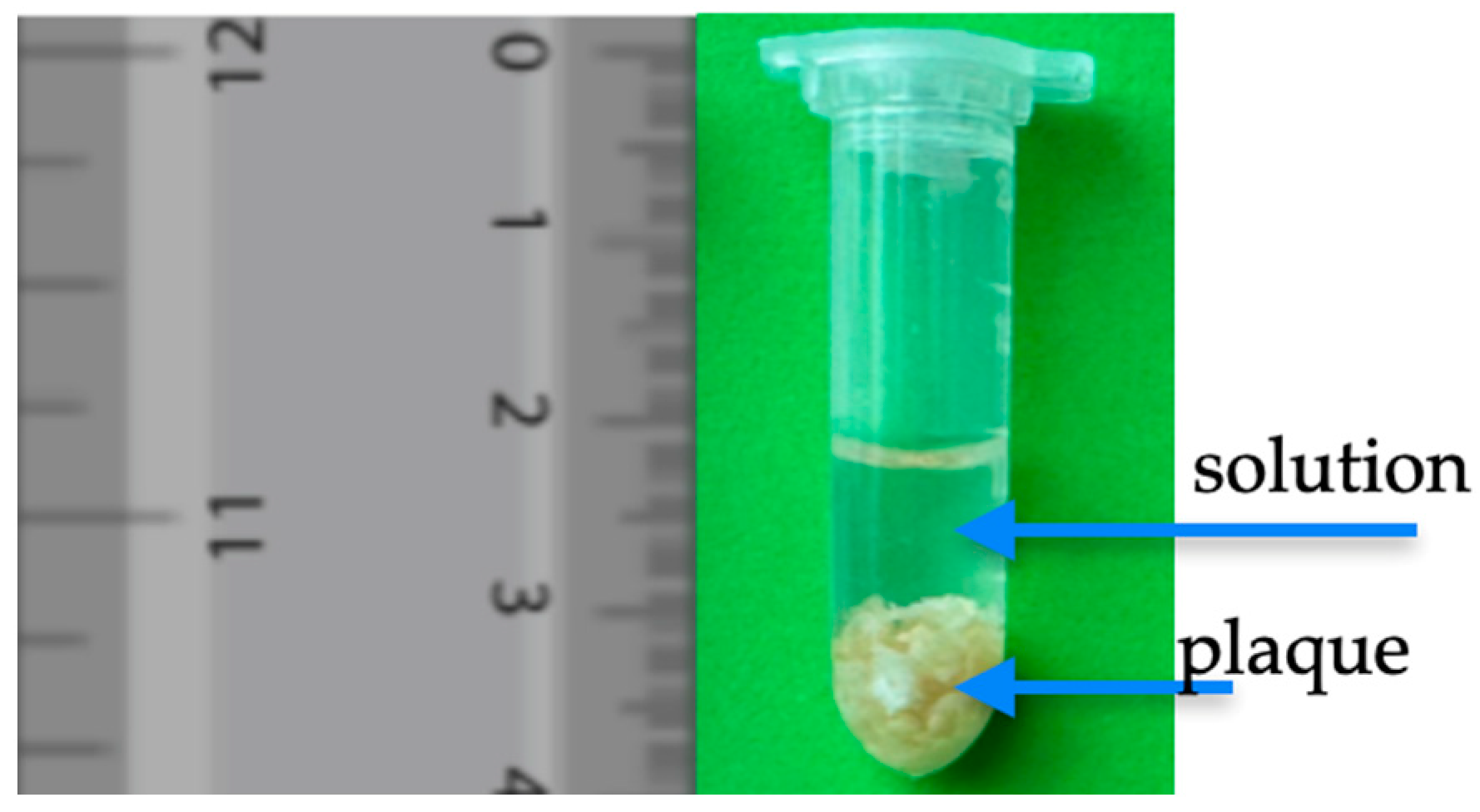 Biomedicines 13 00399 g002