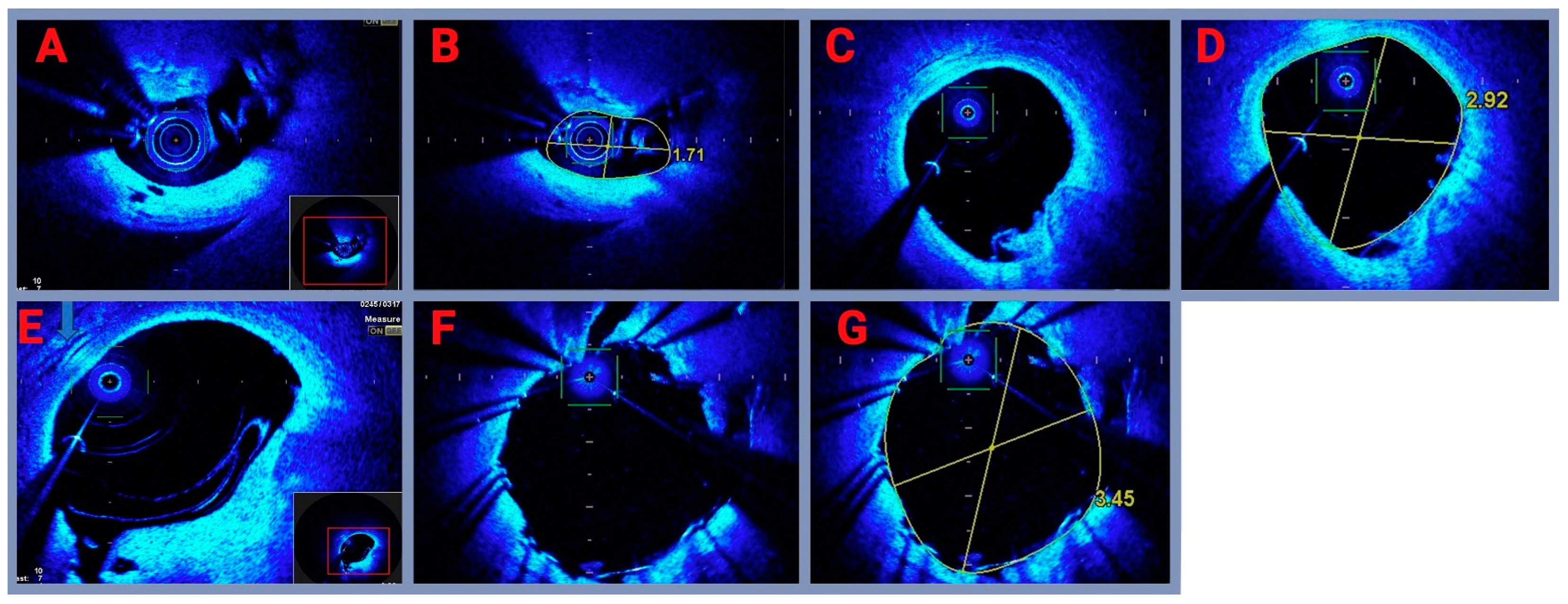 Biomedicines 13 00399 g006