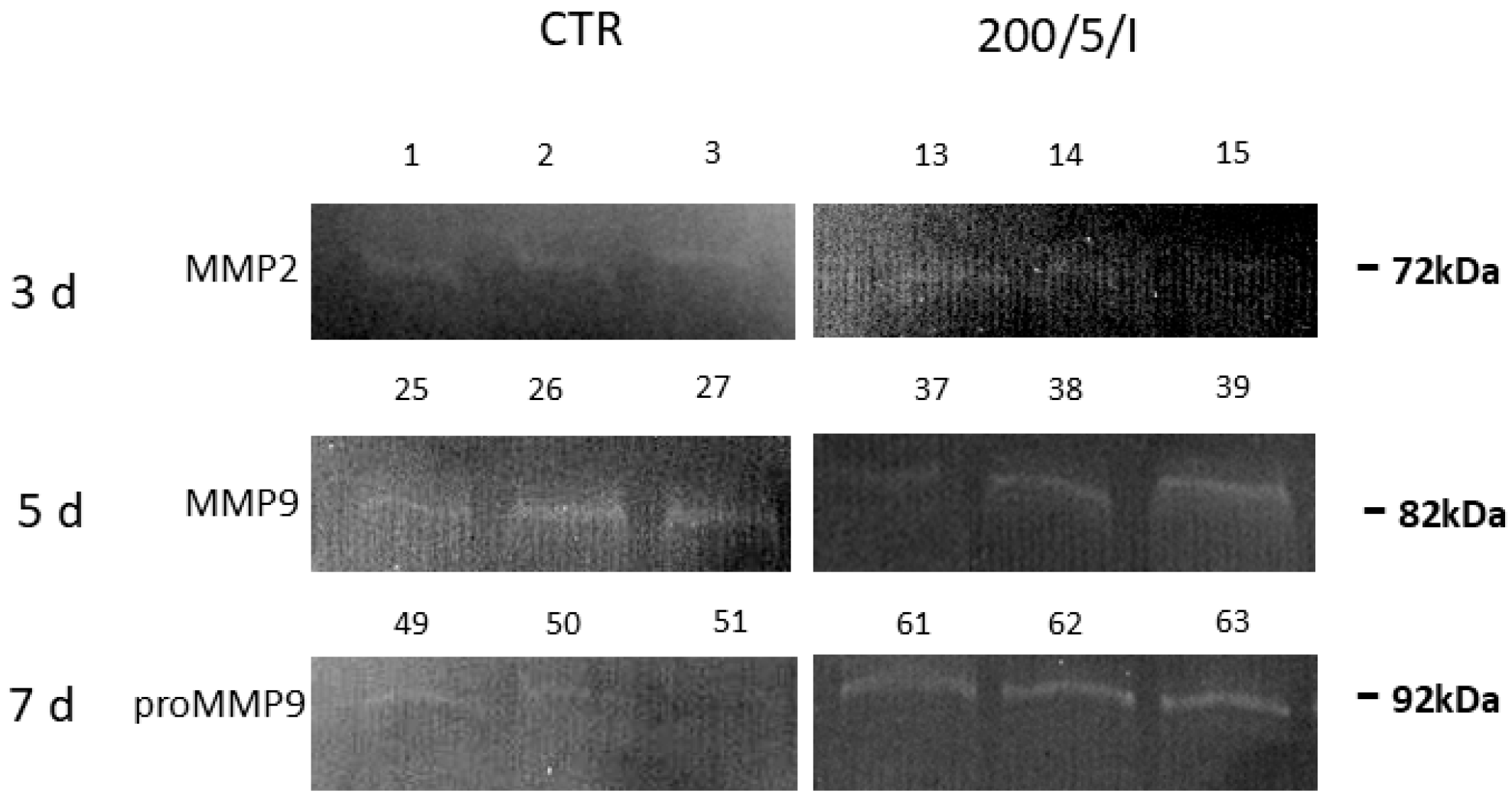 Biomedicines 13 00403 g007
