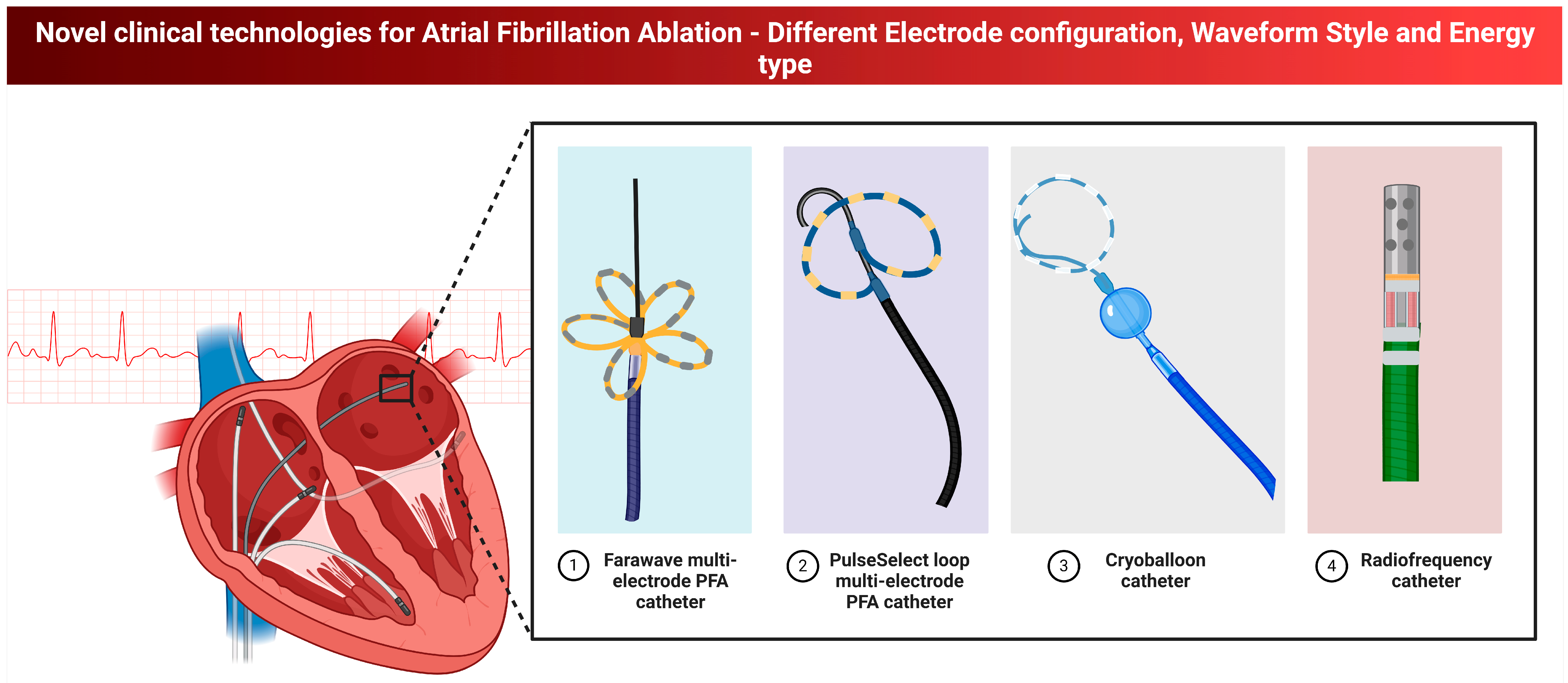Biomedicines 13 00405 g002