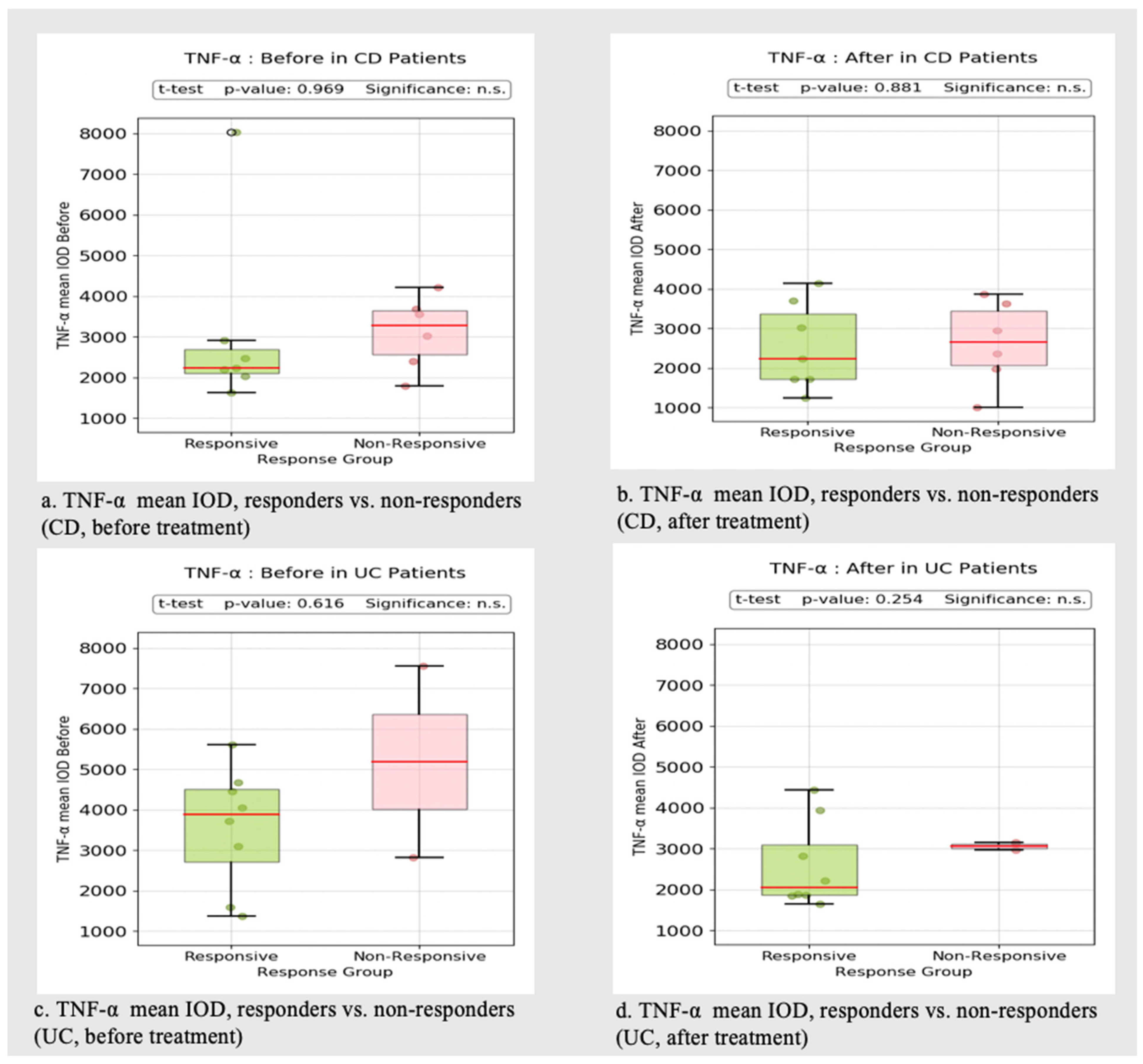 Biomedicines 13 00406 g004