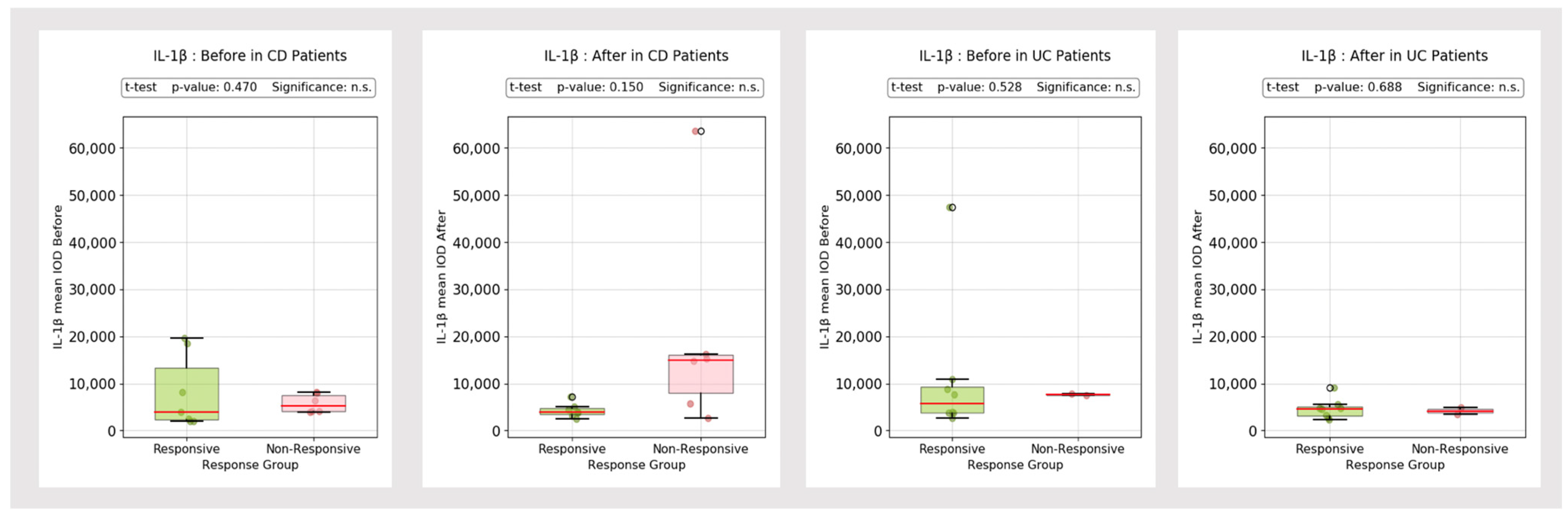 Biomedicines 13 00406 g010