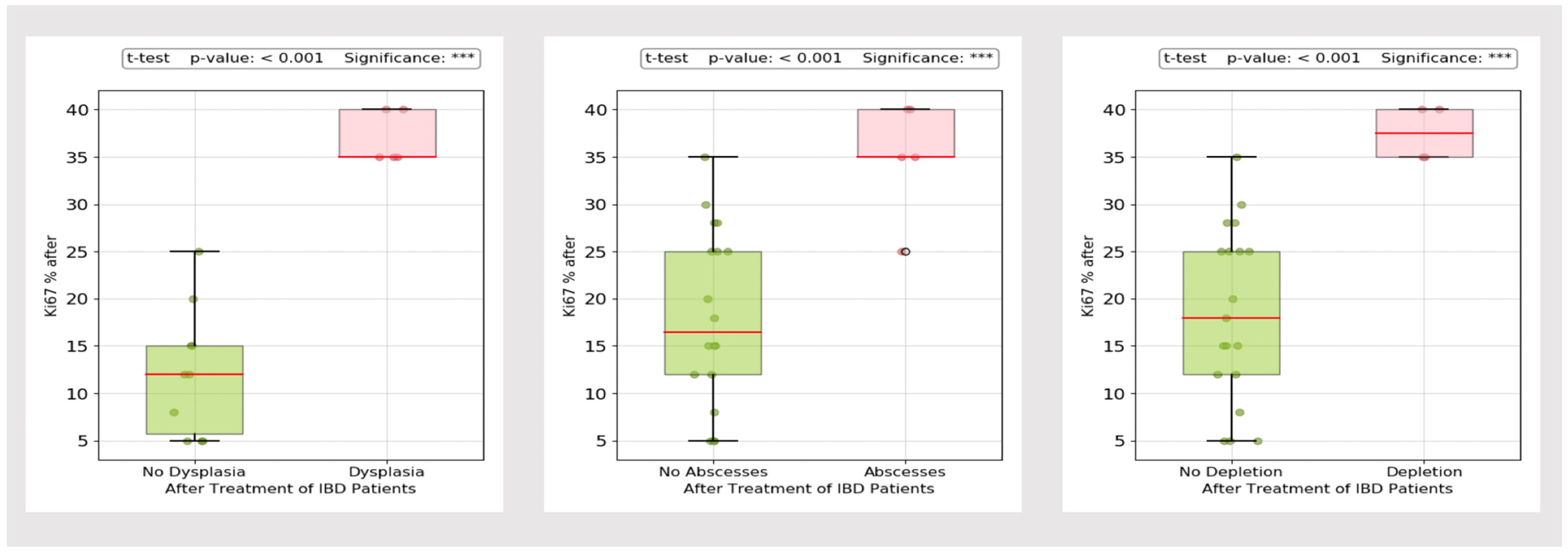 Biomedicines 13 00406 g019