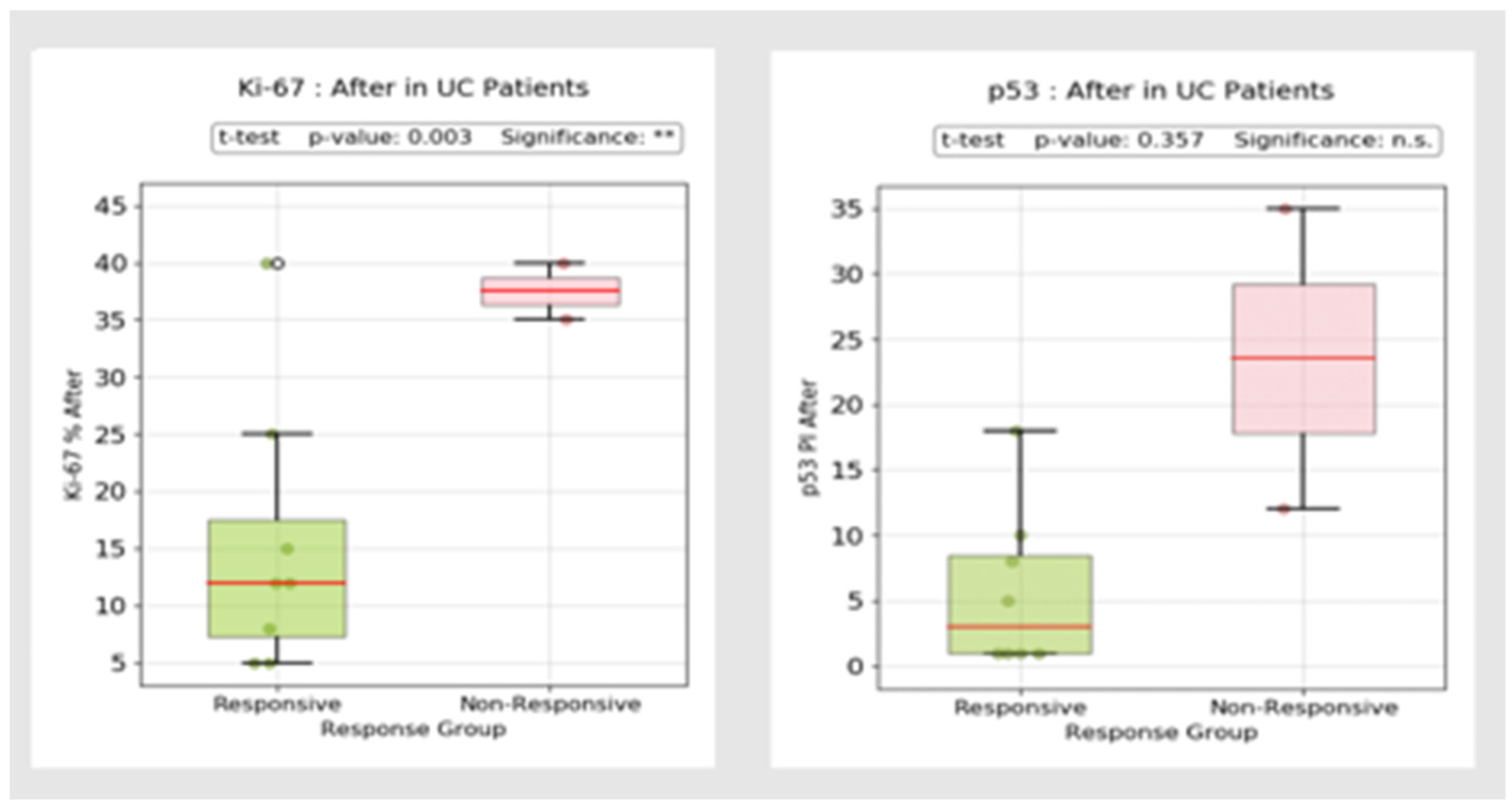 Biomedicines 13 00406 g020