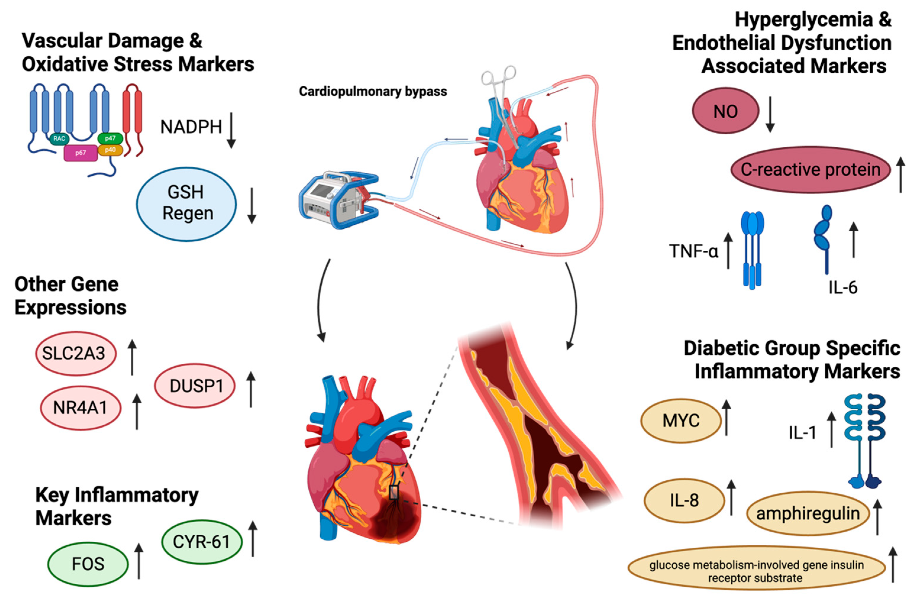 Biomedicines 13 00409 g001
